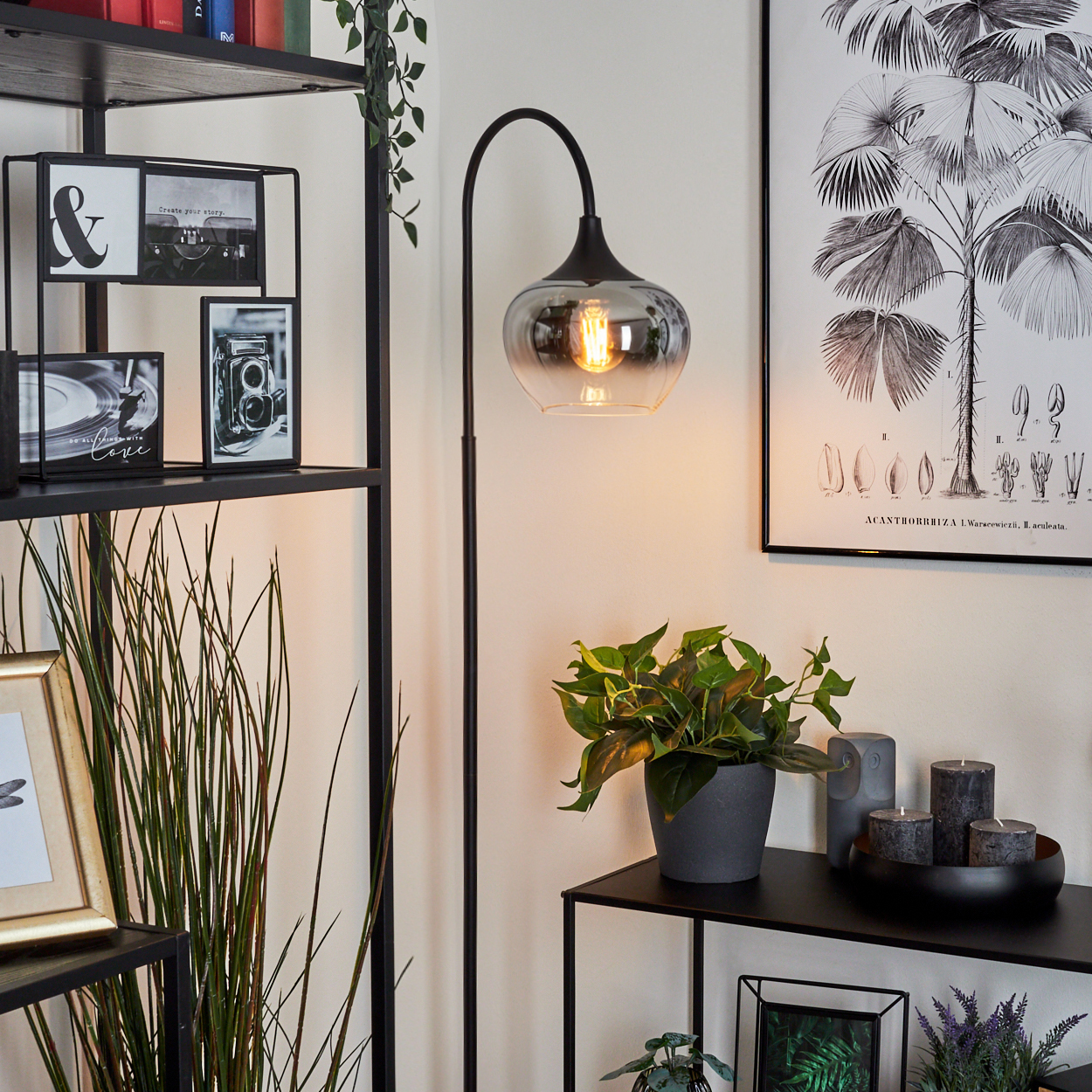 Ein Wohnzimmer mit einer schwarzen Stehlampe, Regalen mit Fotos und Pflanzen. An der Wand hängt ein Poster mit einer Palme.