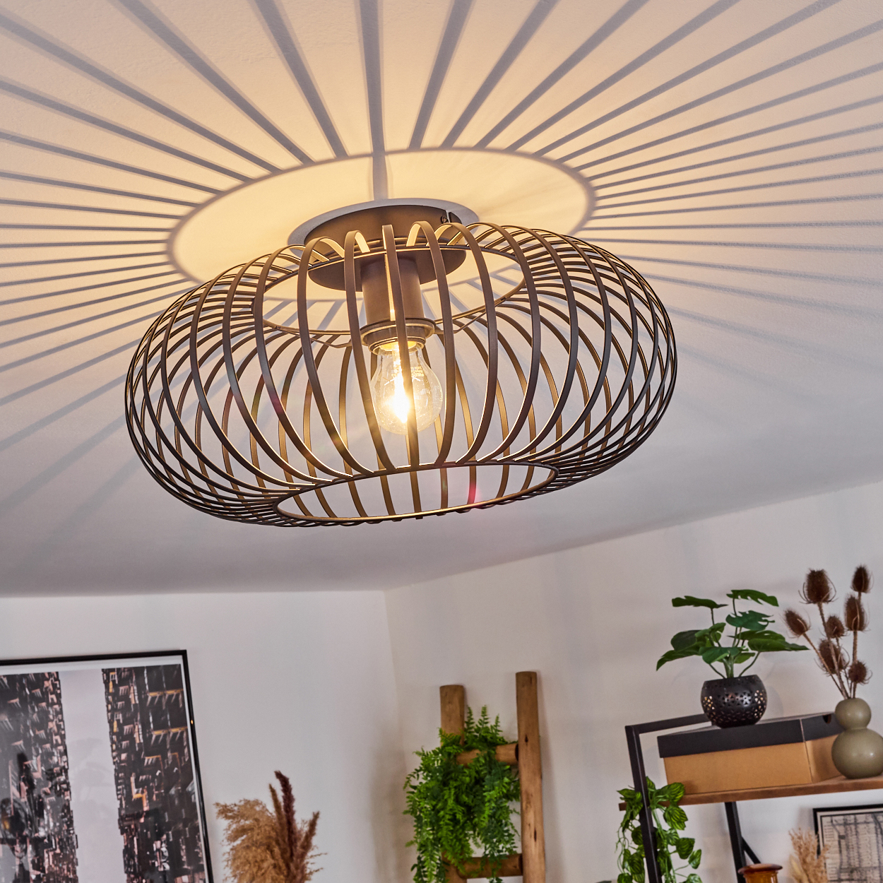 Eine schwarze Deckenlampe aus Metallgitter mit einer leuchtenden Glühbirne wirft einen radialen Schatten auf die Decke. Pflanzen und Dekoration sind unten sichtbar.