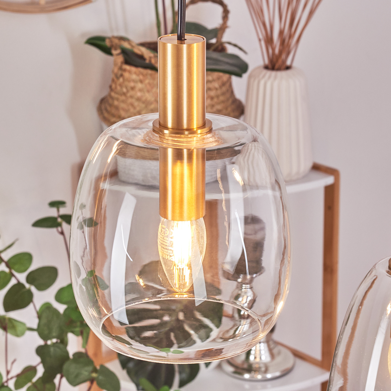 Eine Glas-Pendelleuchte mit goldenem Stiel und einer leuchtenden Glühbirne hängt vor einem Regal mit Pflanzen und einer Vase.