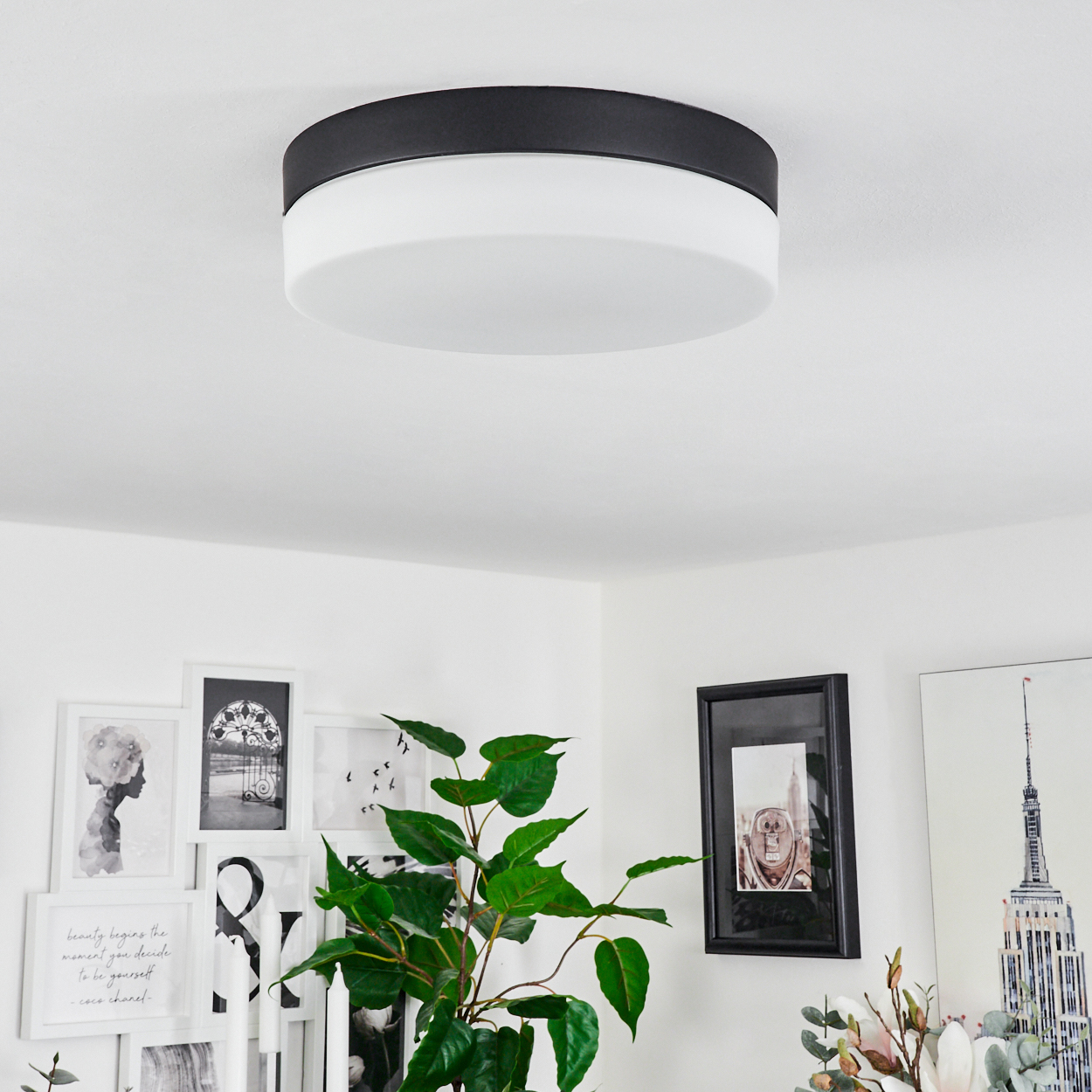 Eine Deckenleuchte mit schwarz-weißem Design. Im Vordergrund befindet sich eine Pflanze mit grünen Blättern. Bilder hängen an der Wand.