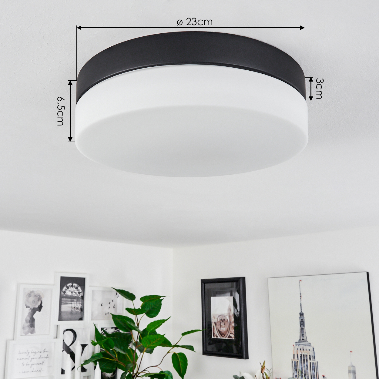 Eine runde Deckenlampe mit schwarzem Rand und weißer, undurchsichtiger Oberfläche. Der Raum hat weiße Wände, Bilder und eine grüne Pflanze.