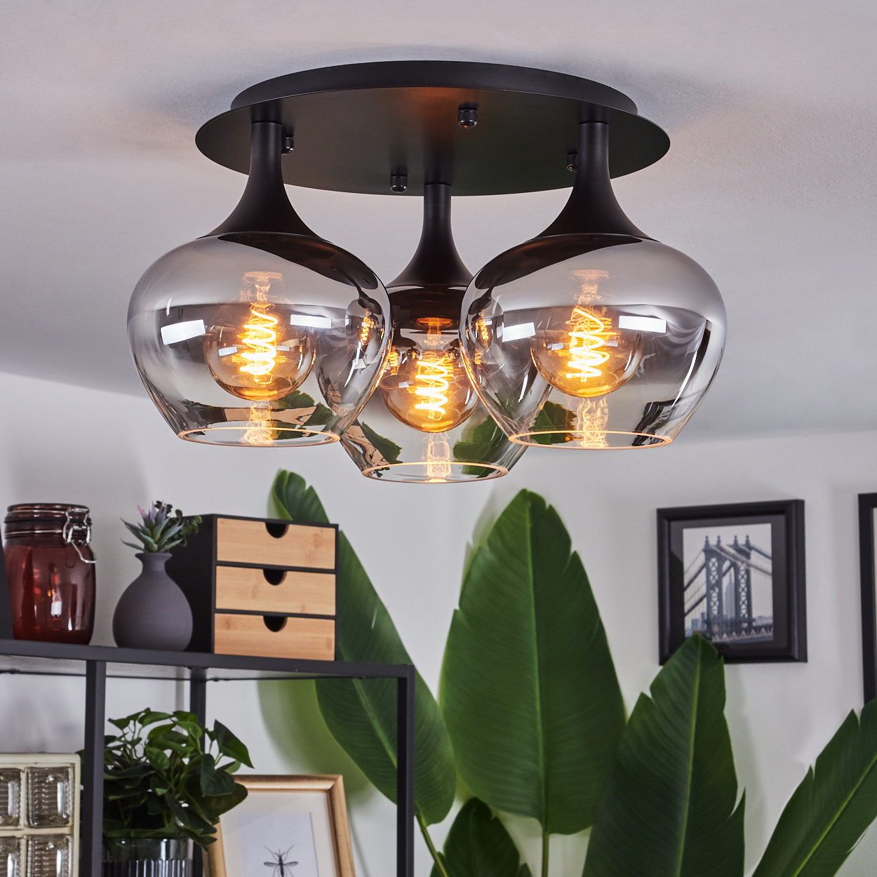 Eine moderne Deckenleuchte mit drei Glasschirmen, die jeweils eine warme Glühbirne enthalten, hängt über einem Regal mit Dekoration und Pflanzen.