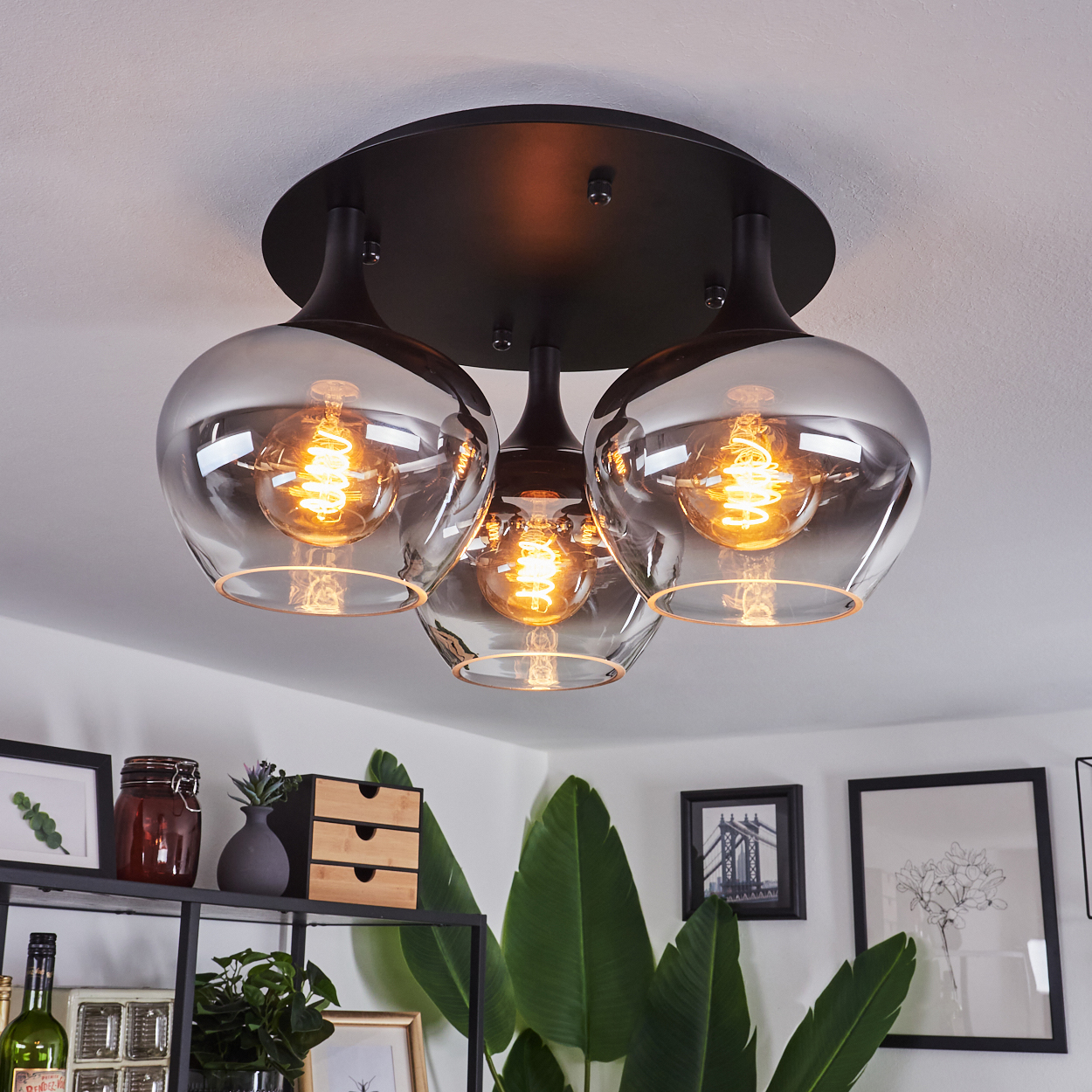 Eine Deckenlampe mit drei Glasschirmen, die jeweils eine leuchtende Glühbirne enthalten. Im Hintergrund ein Regal mit Dekoration und Pflanzen.