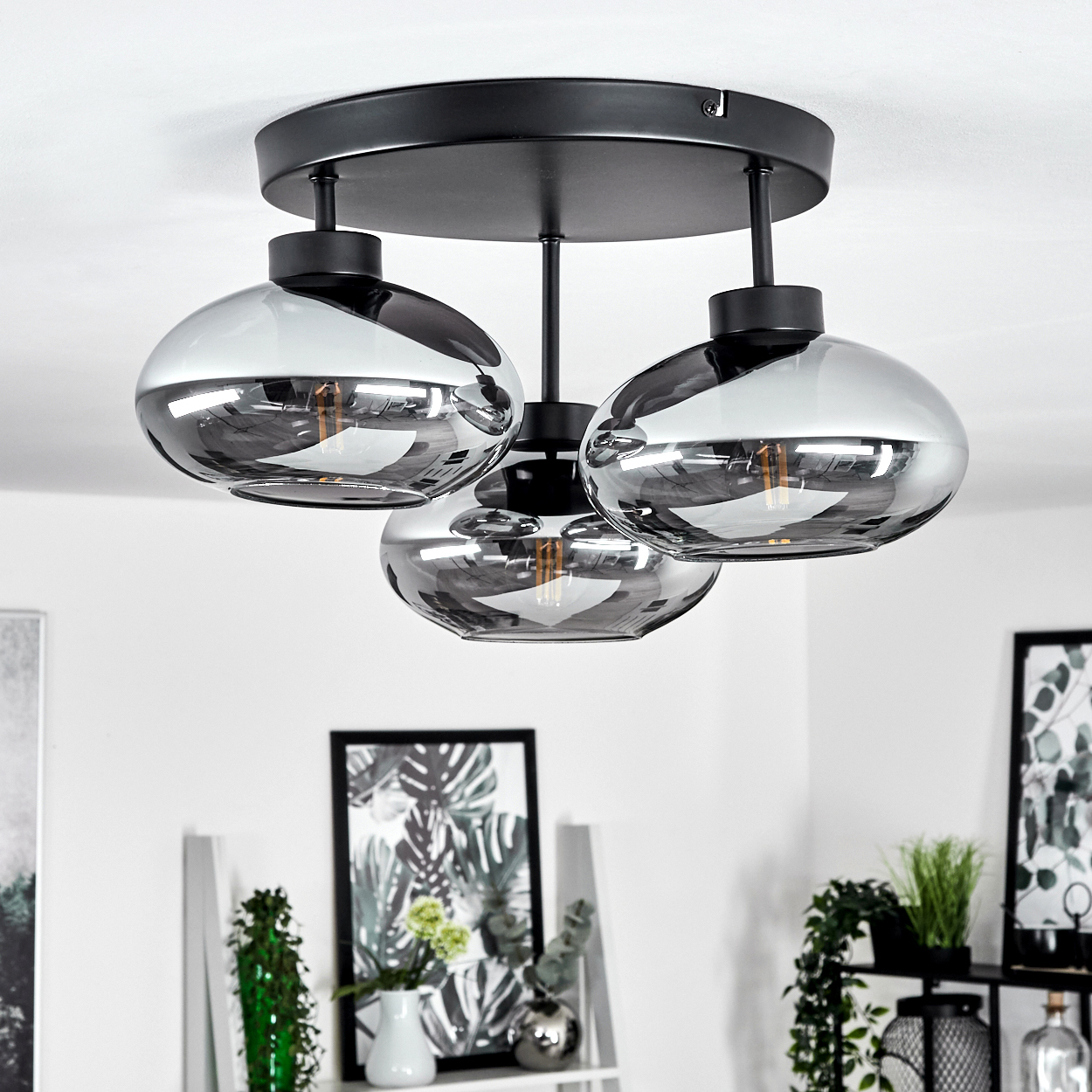 Eine moderne Deckenlampe mit drei Rauchglasschirmen. Schwarze Armaturen. Weiße Decke und Raum mit Pflanzen und Bildern im Hintergrund.