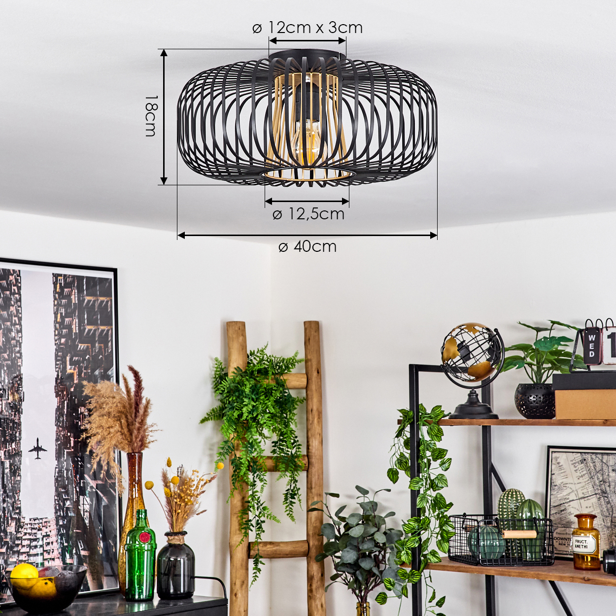 Eine schwarz-goldene Deckenlampe mit Maßen, Grünpflanzen, Holzleiter und einem Regal mit dekorativen Gegenständen, darunter ein Globus.
