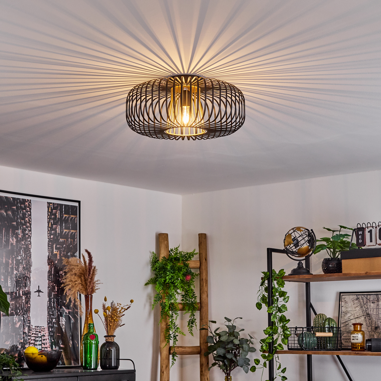 Eine schwarze, käfigartige Deckenlampe wirft radiale Schatten. Darunter ein Raum mit Dekoration: Pflanzen, eine Leiter, Regale mit Globus und Büchern.