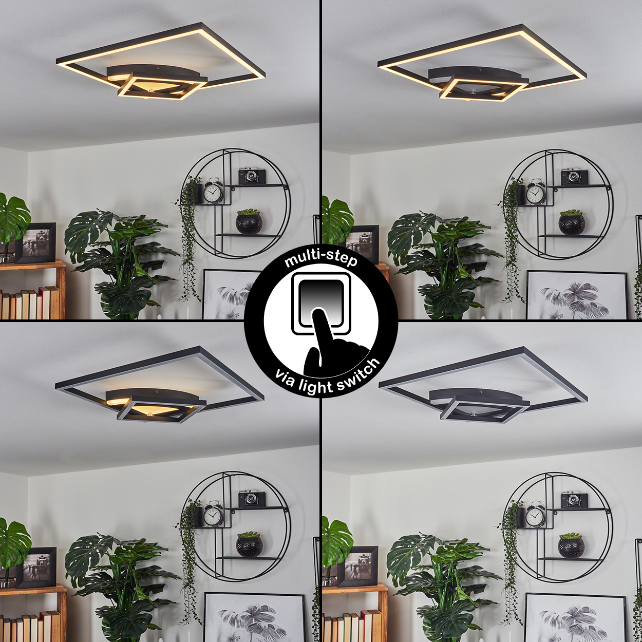 Deckenleuchte mit Mehrfachfunktion. Szene mit Pflanzen, Regalen mit Dekoration und einem Lichtschalter-Symbol.