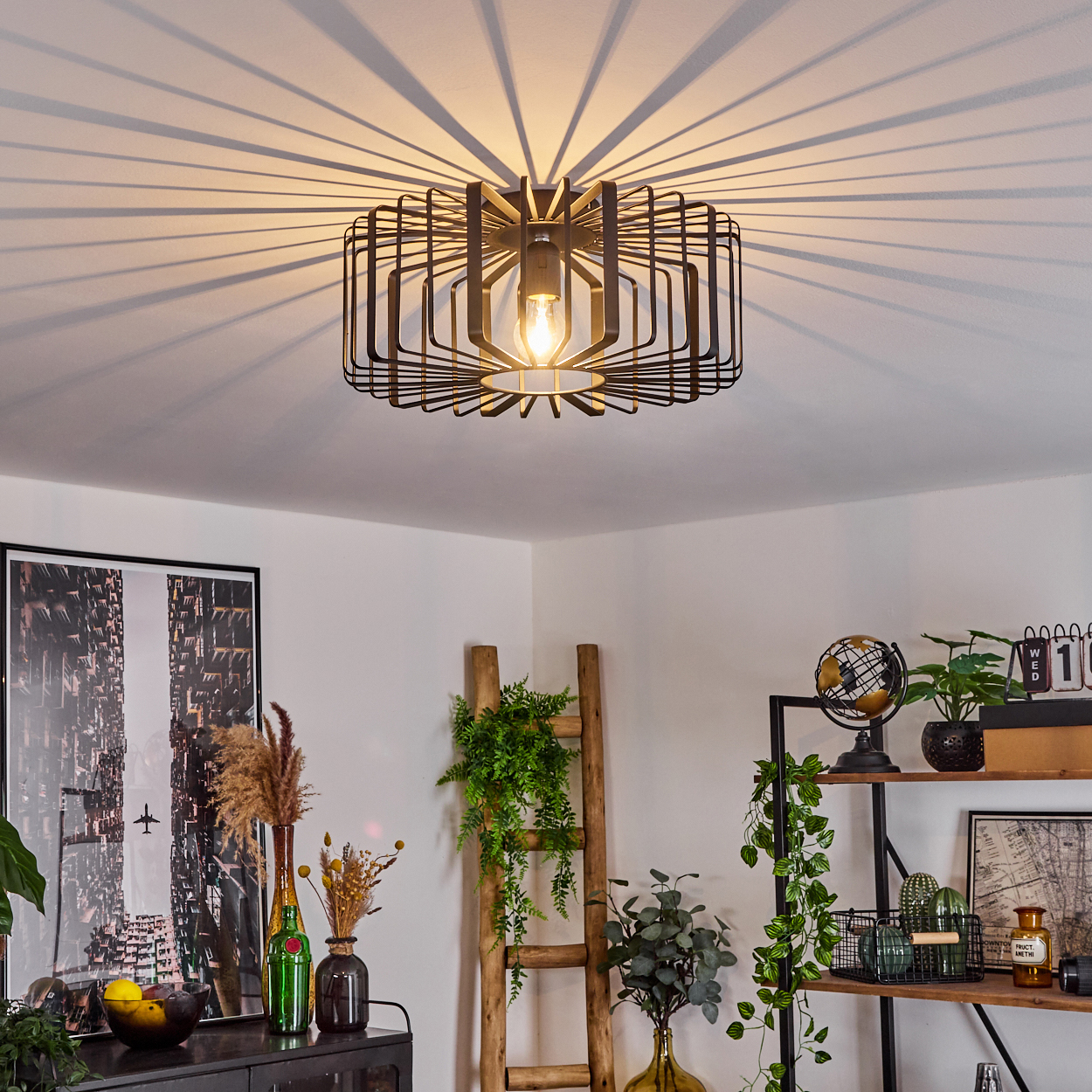 Eine Deckenlampe wirft Schatten. Darunter ein Raum mit Dekor: eine Leiter, Regale mit Pflanzen und einem Globus und ein gerahmter Stadtlandschaftsdruck.