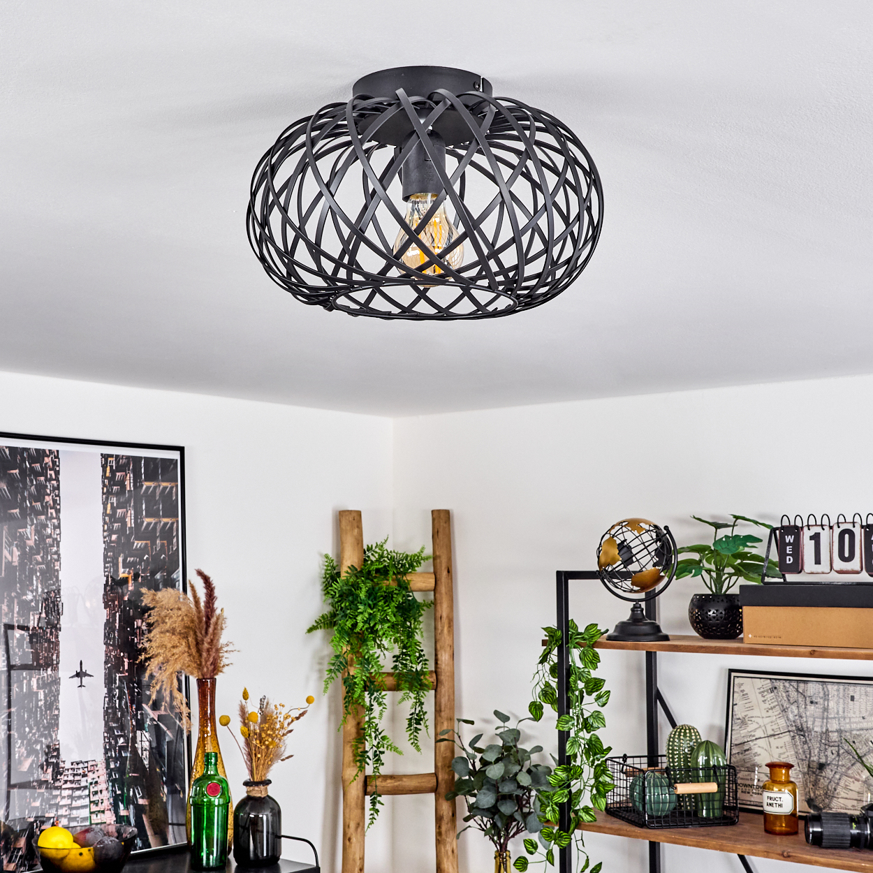 Schwarze, käfigartige Deckenlampe mit leuchtender Glühbirne. Im Raum gibt es eine Leiter, Pflanzen und Dekorationen auf Regalen und einem Tisch.