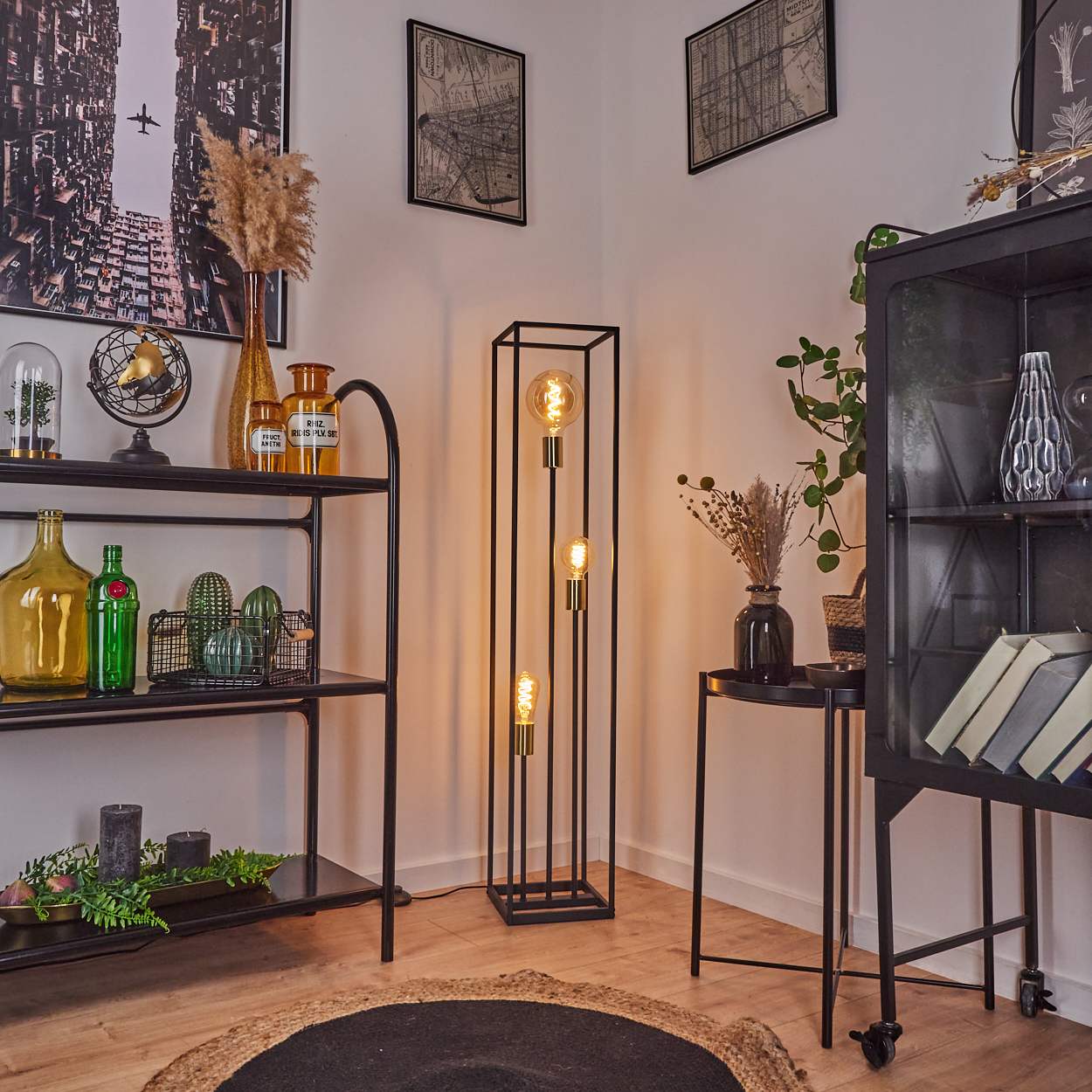 Ein Raum mit schwarzen Metallregalen, einer Stehlampe und einem schwarzen Schrank. Es gibt Pflanzen und Dekorationsartikel. Auf dem Boden liegt ein Teppich.
