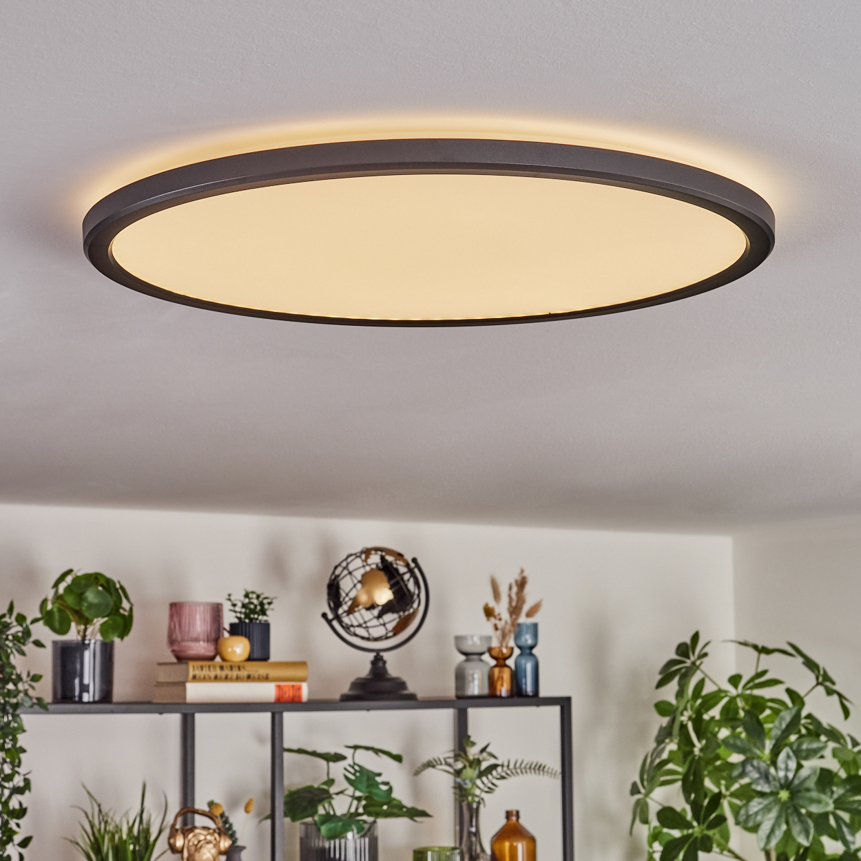 Eine runde Deckenlampe mit warmem Licht. Darunter ein Regal mit Pflanzen, Büchern und Dekorationsgegenständen.