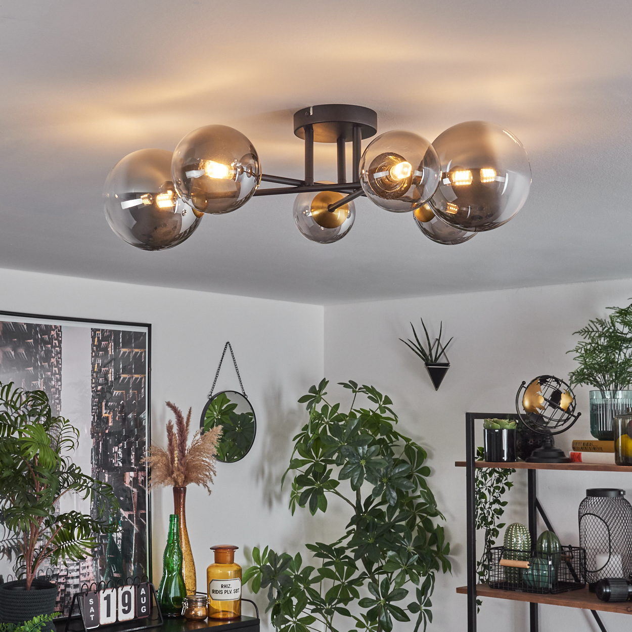 Moderne Deckenleuchte mit Glaskugeln. Pflanzen und Dekoration im Raum. Globus und Regale im Hintergrund.
