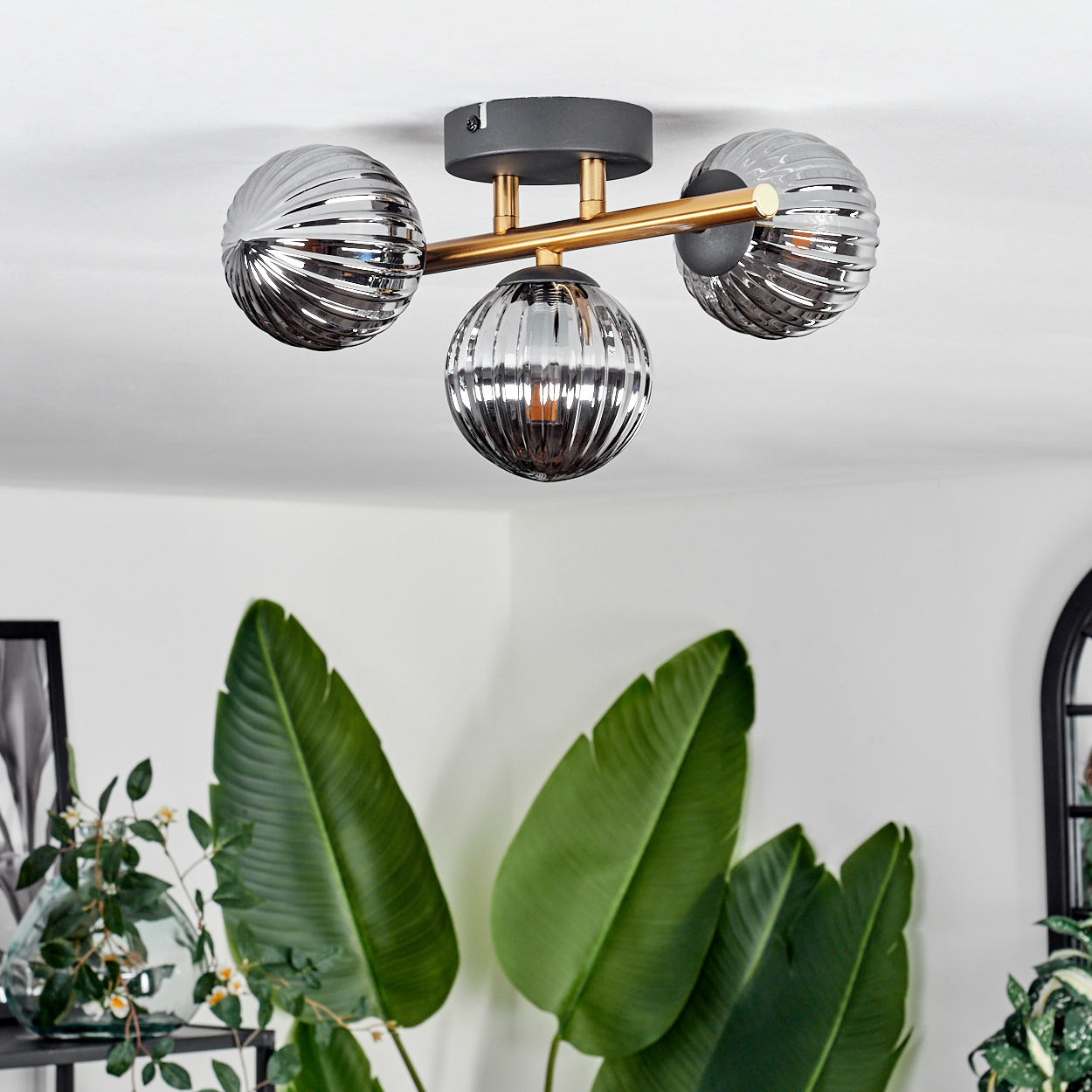 Eine moderne Deckenlampe mit drei Glaskugeln, goldenen Armen und einem dunkelgrauen Sockel. Große grüne Blätter und weiße Wände im Hintergrund.