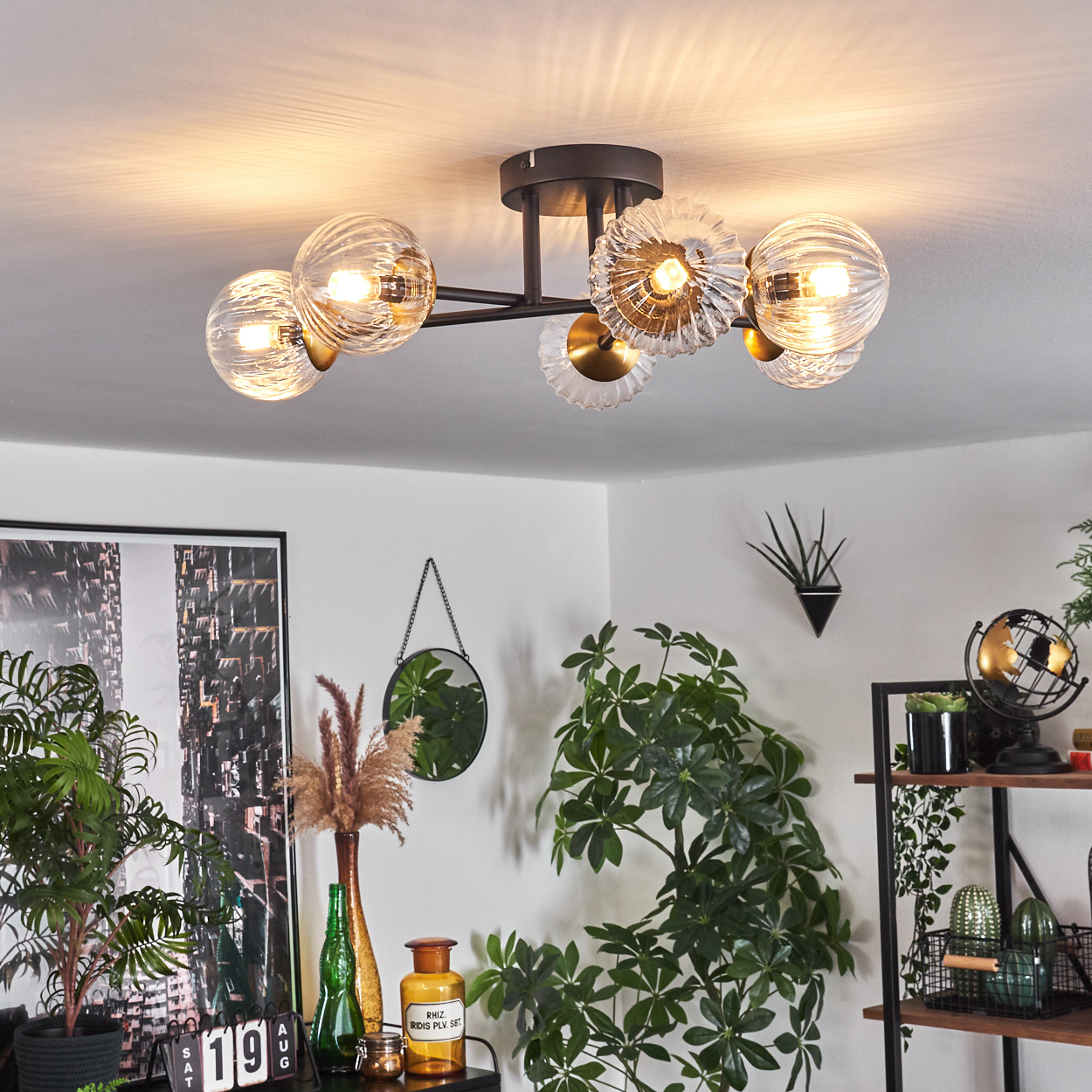 Moderne Deckenleuchte mit Glasschirmen. Pflanzen, ein Spiegel und ein Regal mit Deko sind im Raum zu sehen.
