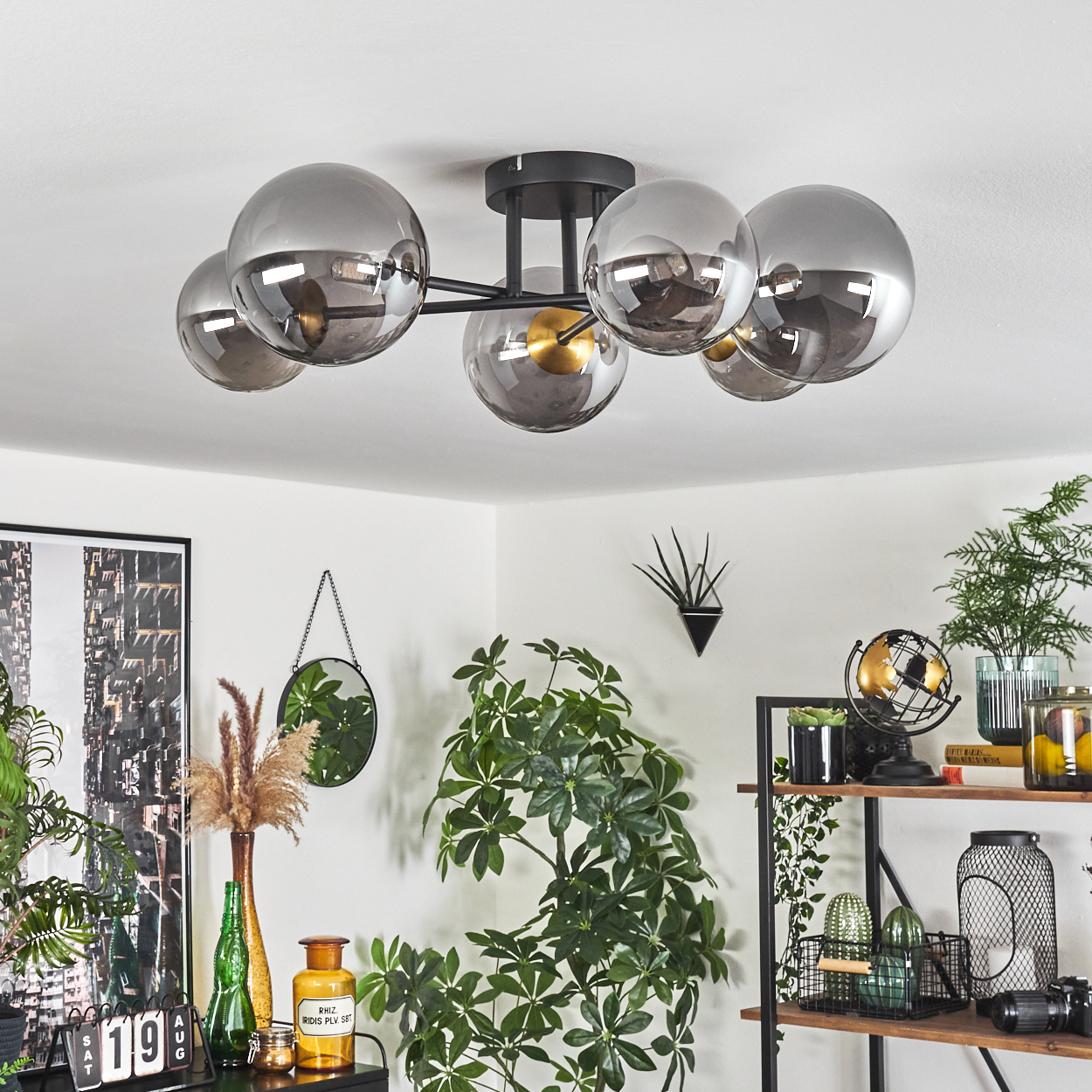 Ein modernes Wohnzimmer mit Deckenleuchte. Pflanzen, Dekorationen und ein schwarzes Regal mit verschiedenen Objekten. Weiße Wände und Decke.