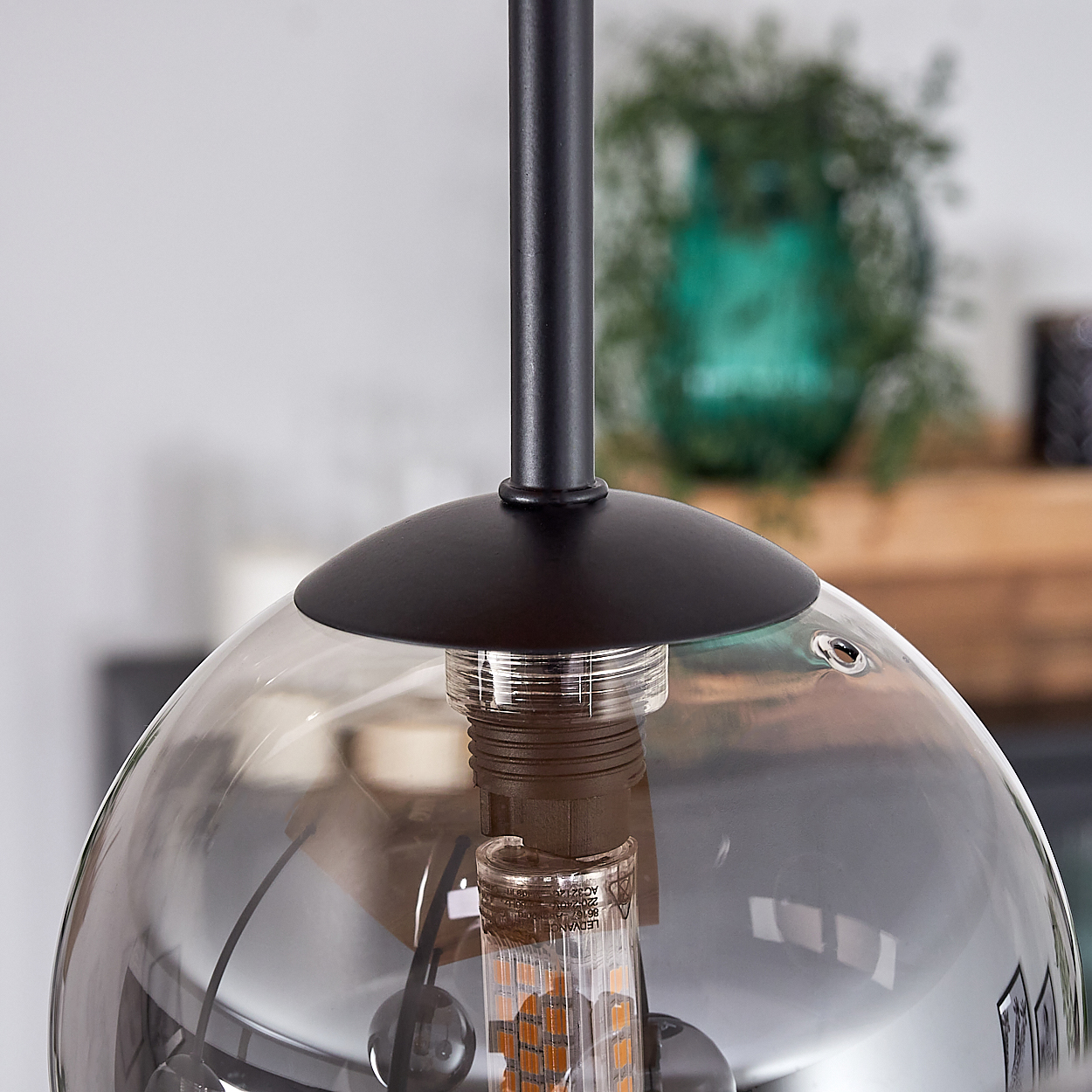 Nahaufnahme einer modernen Lampe. Die Lampe hat einen schwarzen Stiel und einen Glasschirm. Im Inneren befindet sich eine Glühbirne, im Hintergrund eine grüne Pflanze.