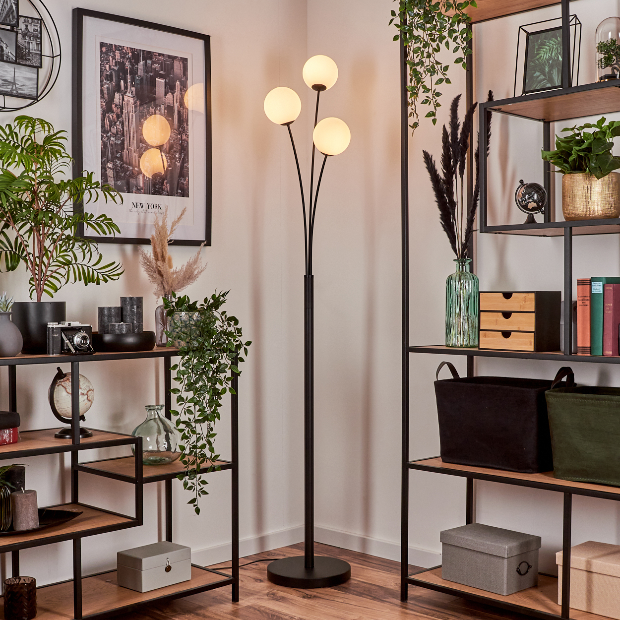 Raumdekoration: Stehlampe, Regale mit Pflanzen und Dekor, New York Bild.