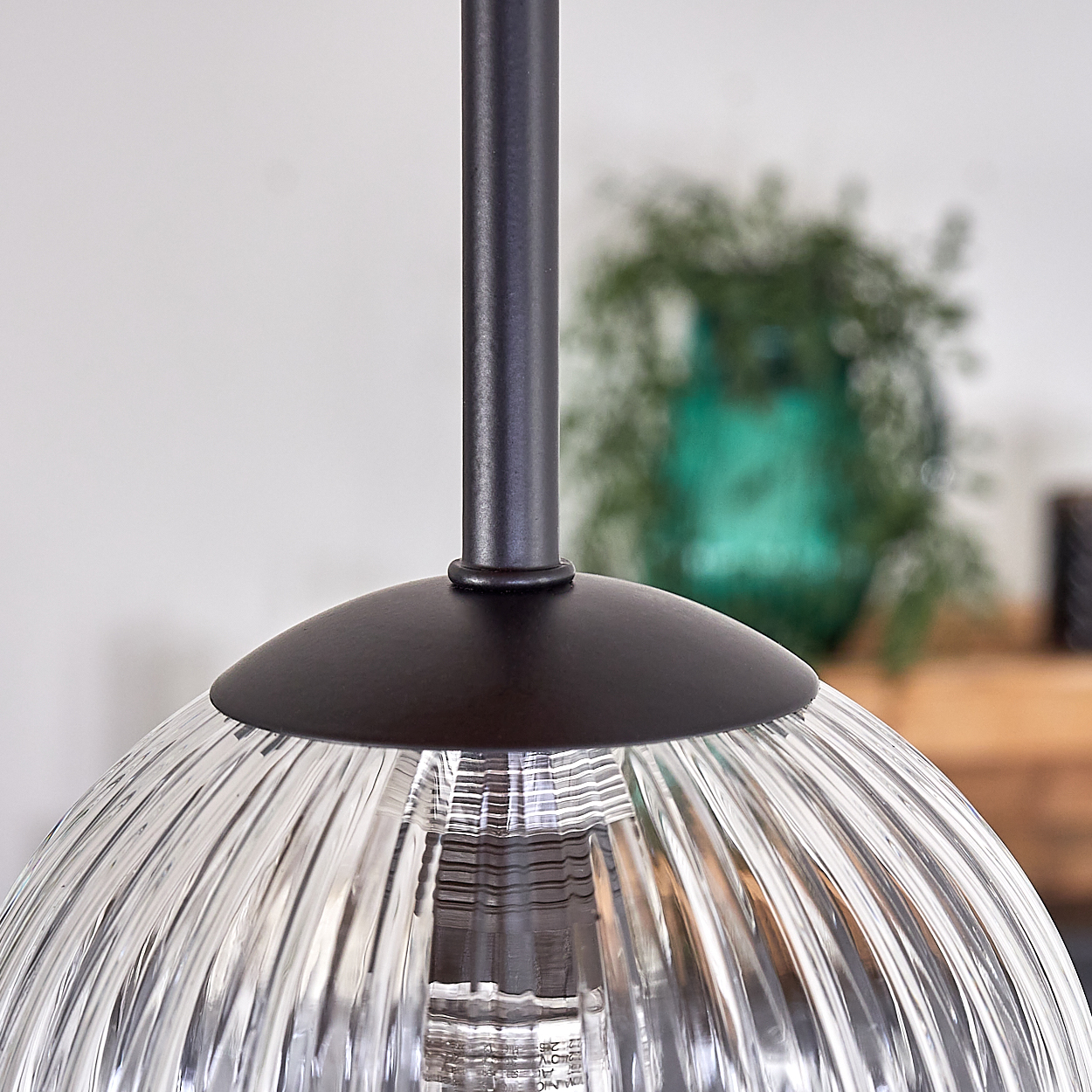 Nahaufnahme einer Hängeleuchte. Klarer, gerippter Glasschirm mit schwarzem Metallaufsatz und -stiel. Verschwommene grüne Pflanze im Hintergrund.