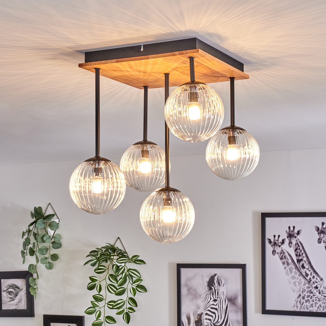 Eine Deckenlampe mit fünf Glaskugellichtern. Darunter befinden sich Pflanzen und gerahmte Bilder von Zebra und Giraffen an der weißen Wand.