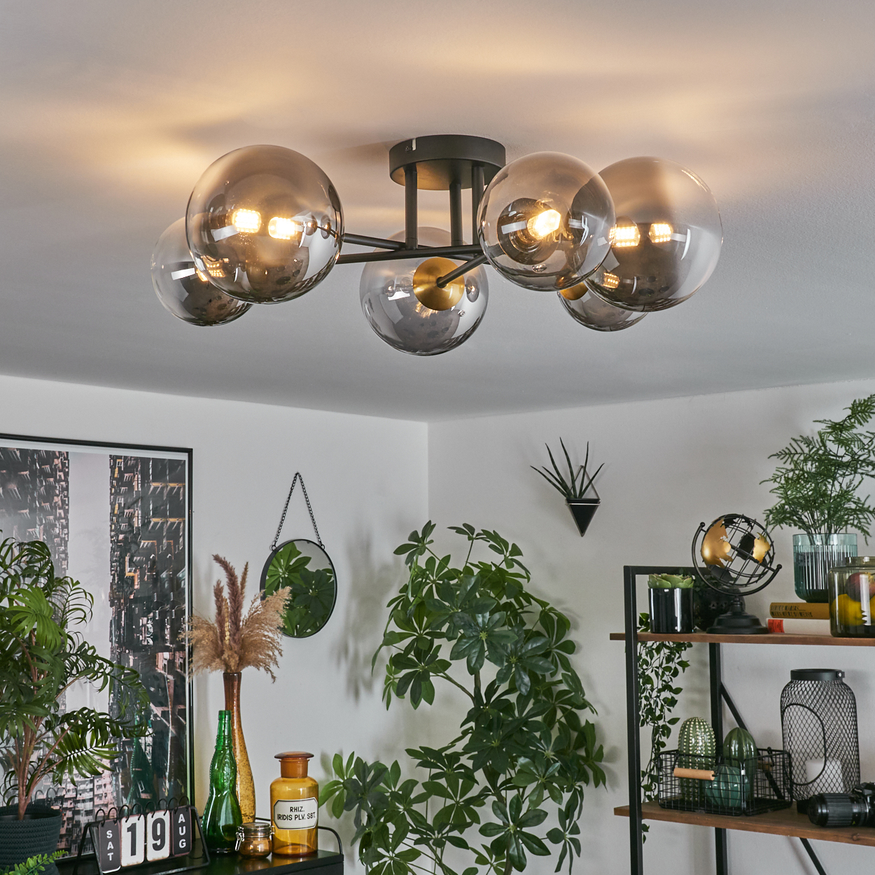 Eine moderne Deckenlampe mit Glaskugeln. Pflanzen und Dekoration stehen auf Regalen und Tischen. Ein Spiegel hängt an der Wand.