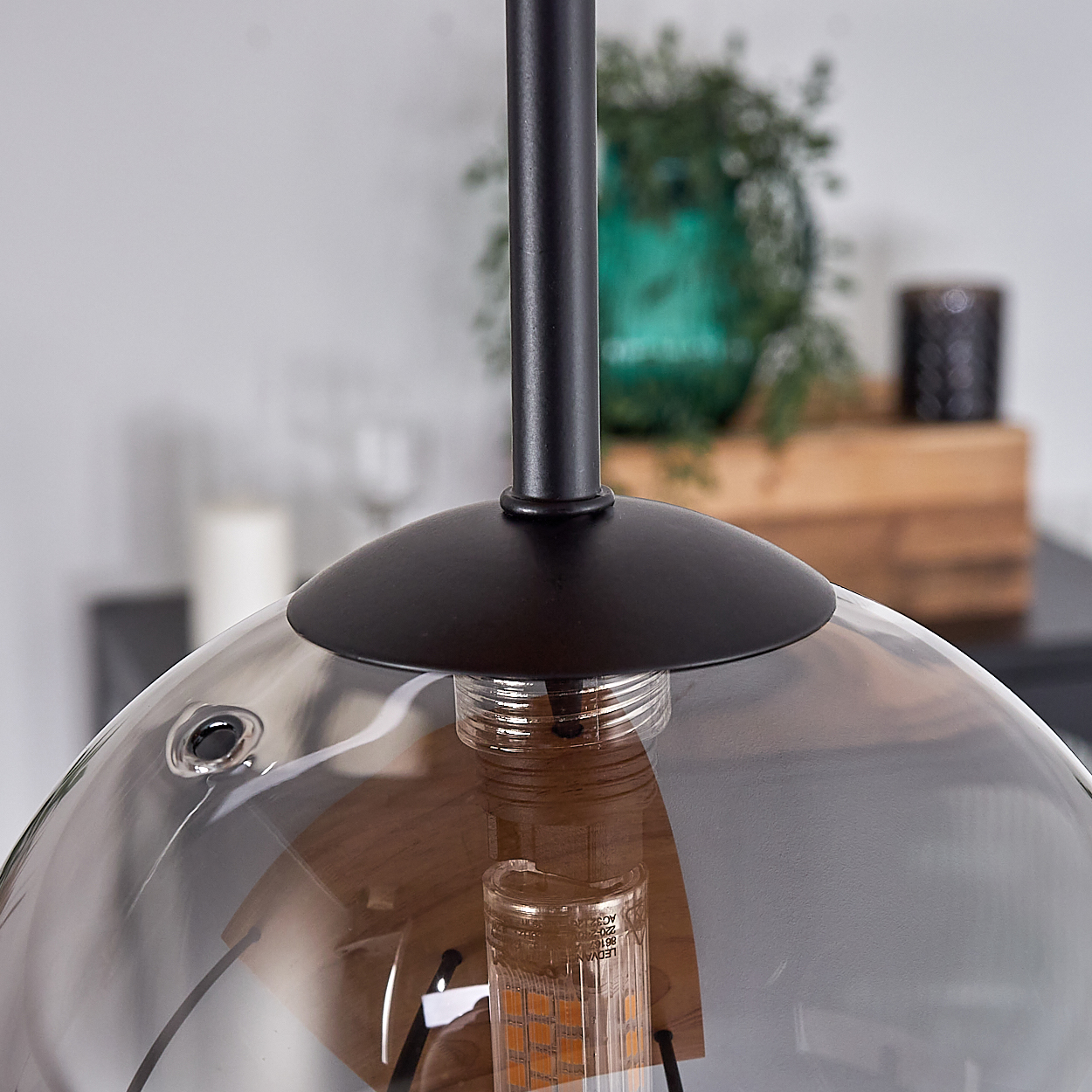 Eine moderne Hängelampe mit Glasschirm. Die Lampe hat einen schwarzen Metallstiel und eine sichtbare Glühbirne. Grüne Pflanzen im Hintergrund.