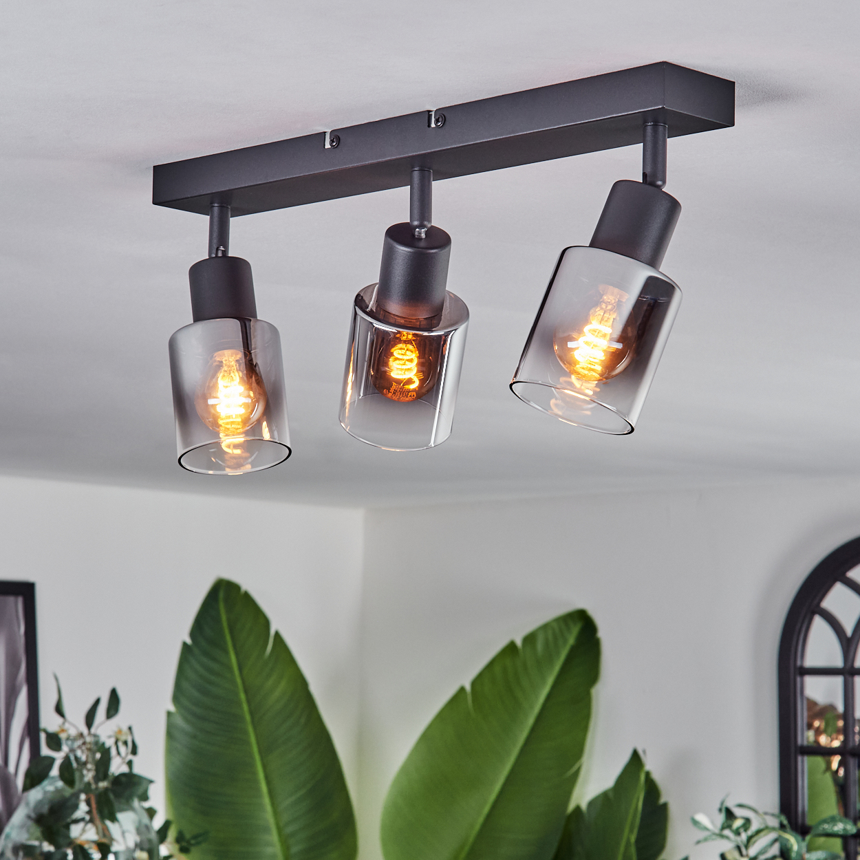 Eine schwarze Deckenleuchte mit drei verstellbaren Lichtern, jeweils mit Glasschirm, beleuchtet einen Raum mit Pflanzen.