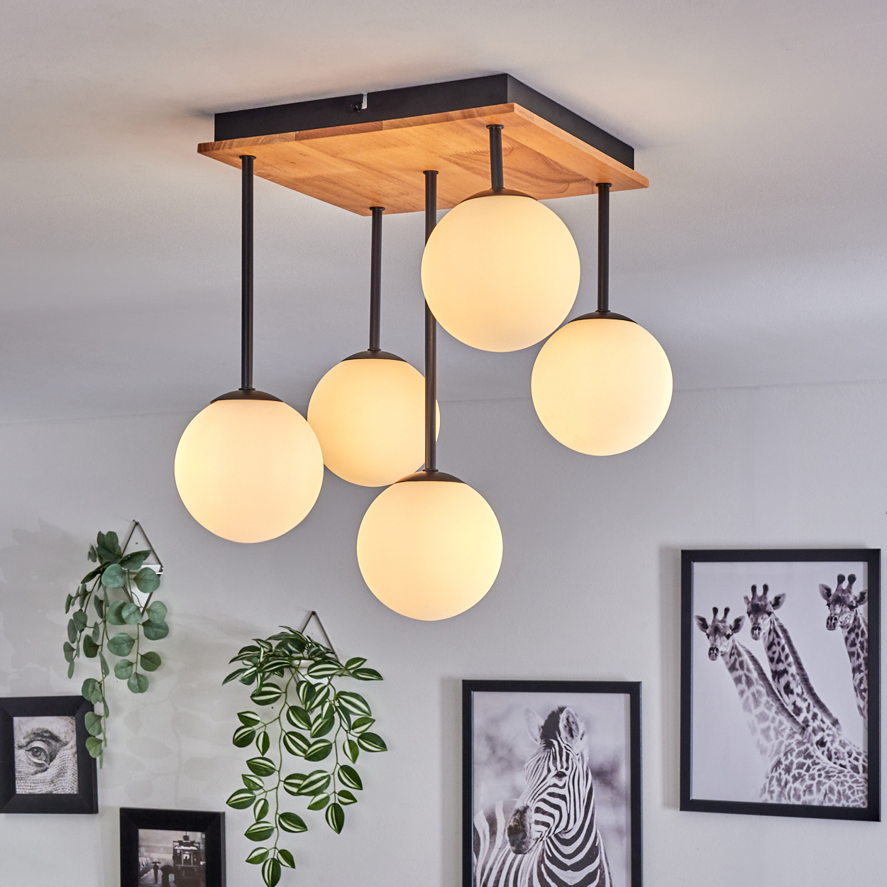 Moderne Deckenleuchte mit fünf Kugelleuchten. Wanddeko: Pflanzen, gerahmte Zebra- und Giraffenbilder.