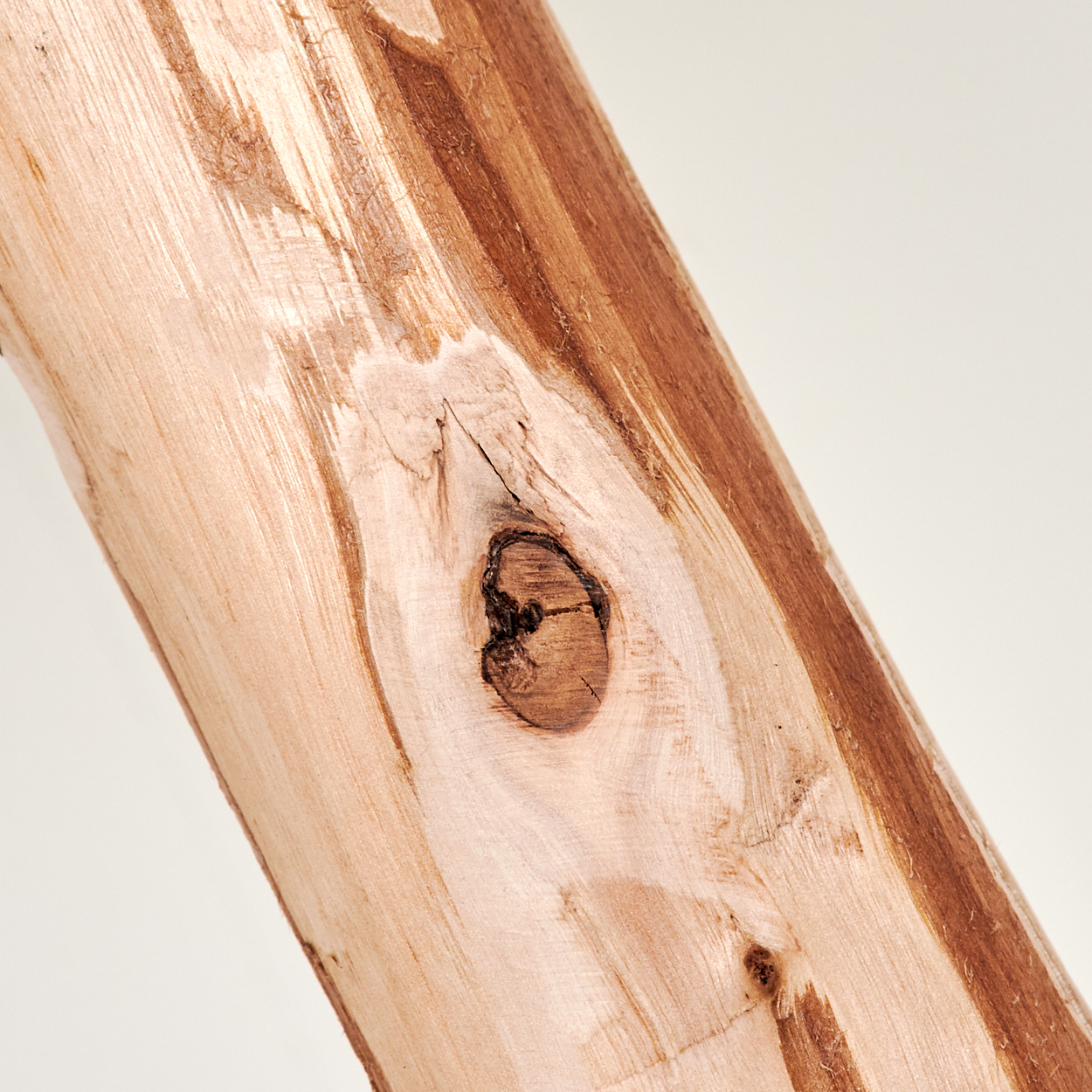 Nahaufnahme eines Holzstamms mit Astloch. Der Stamm ist hellbraun mit dunkelbraunen Streifen. Der Hintergrund ist einfarbig cremeweiß.