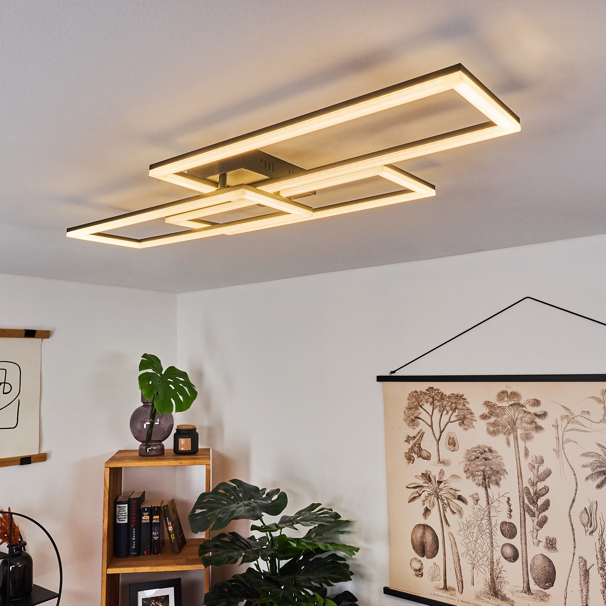 Moderne Deckenleuchte mit rechteckigen, beleuchteten Rahmen. Darunter ein Holzregal mit Pflanzen und Büchern. Ein botanischer Druck hängt an der Wand.