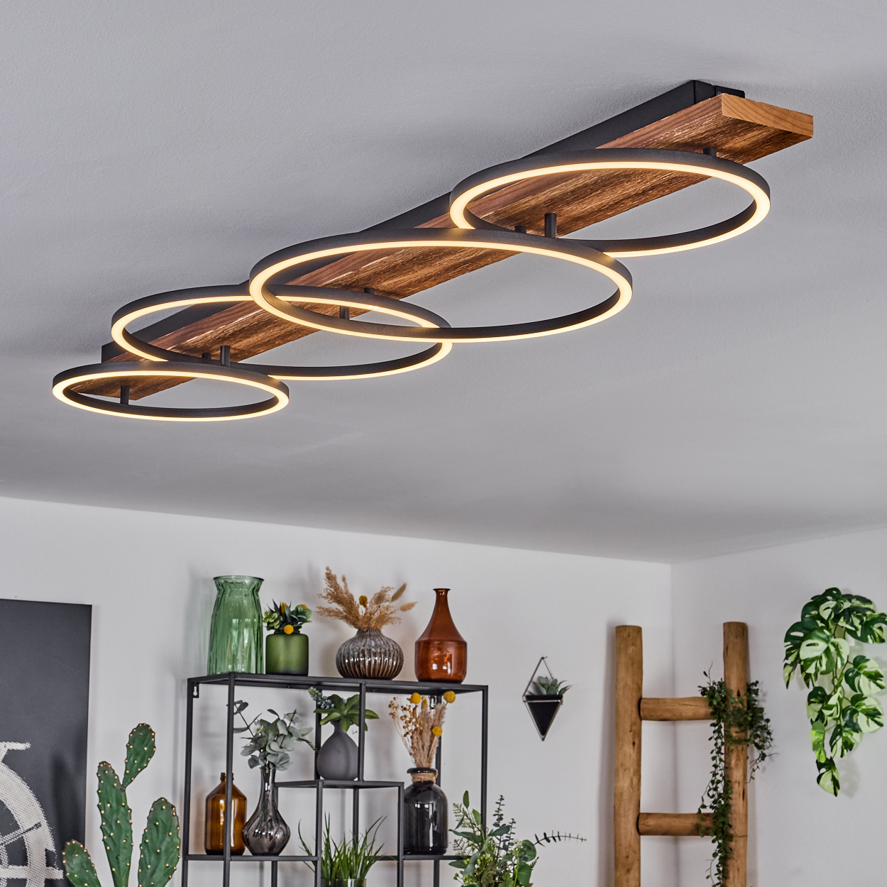 Eine moderne Deckenleuchte mit vier leuchtenden Ringen. Darunter ein Regal mit Vasen und Pflanzen. Eine Holzleiter und Kaktus.