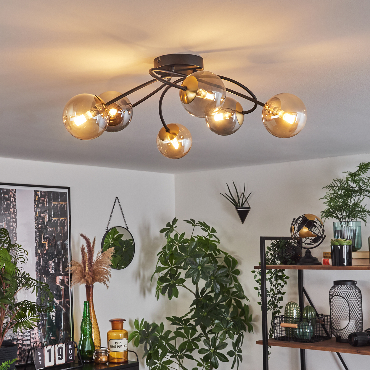Eine moderne Deckenleuchte mit Glaskugeln beleuchtet einen Raum mit Pflanzen, einem Spiegel und Regalen mit Dekor.