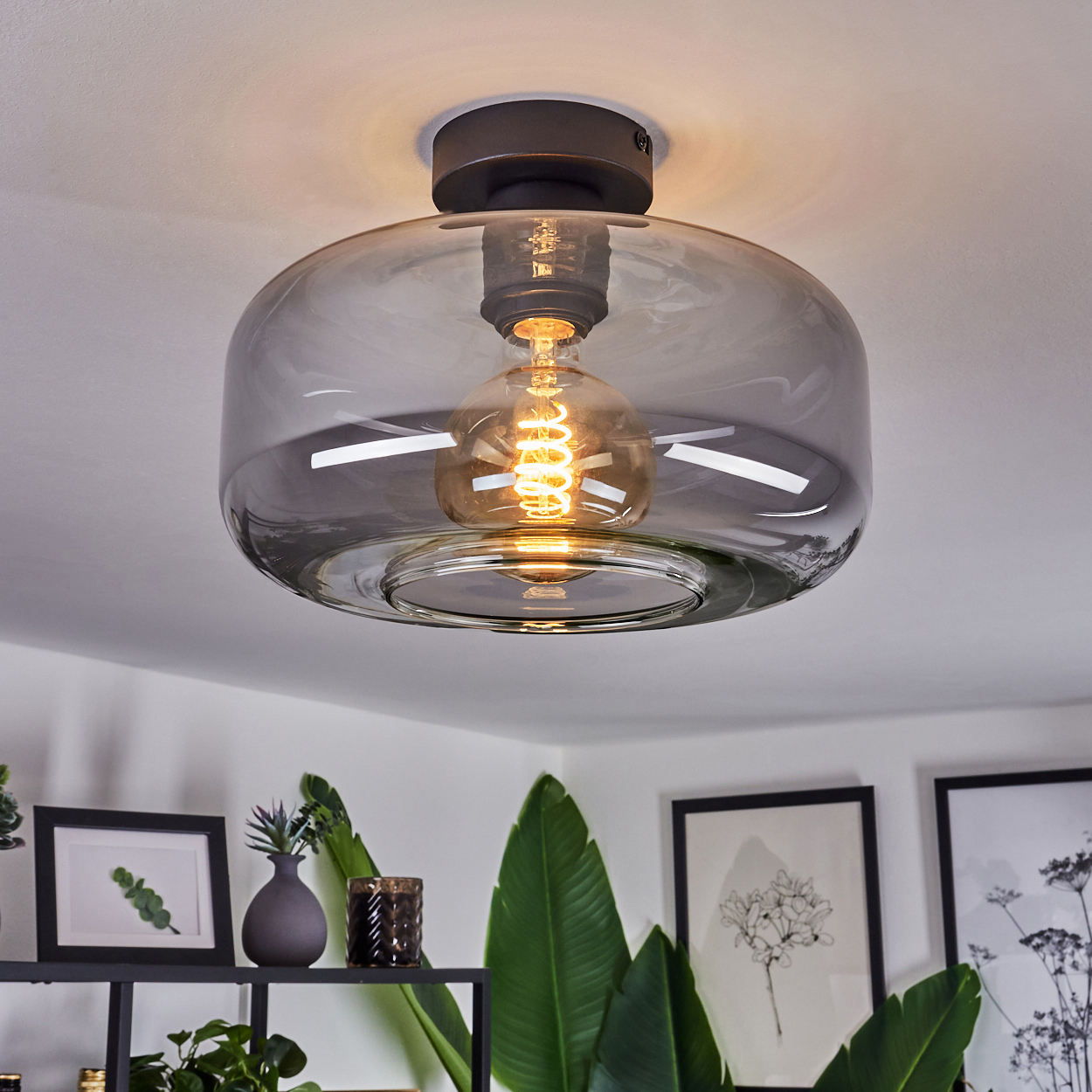 Eine Deckenlampe mit Glaslampenschirm und freiliegender Glühbirne. Im Hintergrund sind Pflanzen und gerahmte Bilder zu sehen.