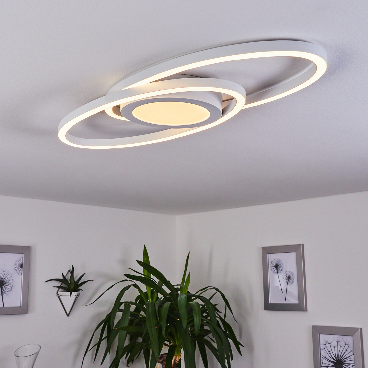 Moderne Deckenleuchte mit kreisförmigem Design. Darunter Pflanzen und gerahmte Bilder an einer weißen Wand.