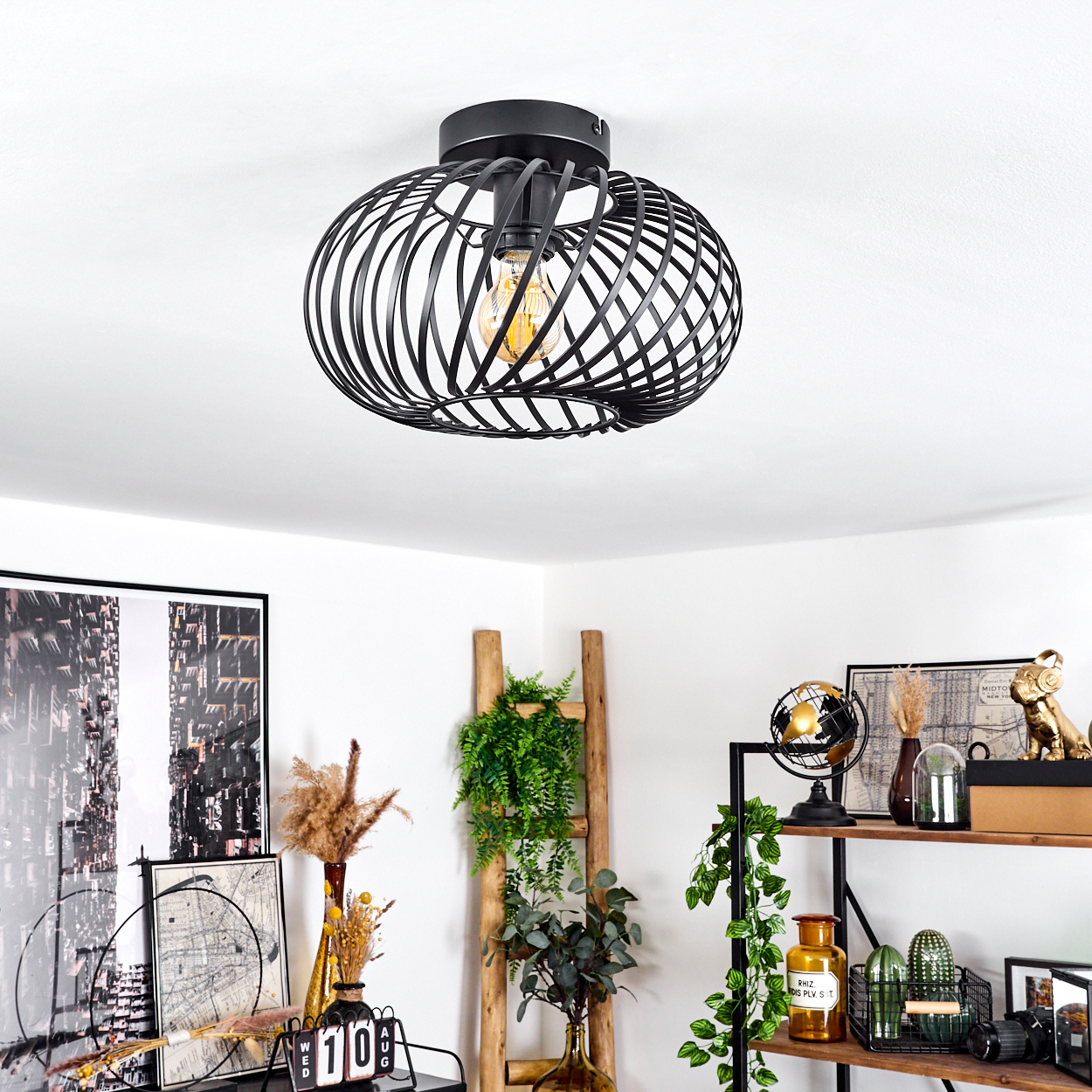 Schwarze Metall-Deckenleuchte mit Glühbirne. Holzleiter, Pflanzen, Regale mit Dekorartikeln und Bilder im Hintergrund.