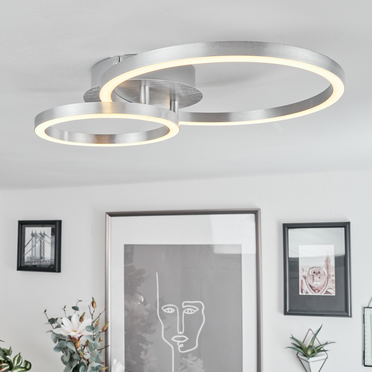 Silberne Deckenleuchte mit zwei beleuchteten Ringen. Kunstwerke und gerahmte Bilder an der weißen Wand. Blumen und Pflanzen im Vordergrund.