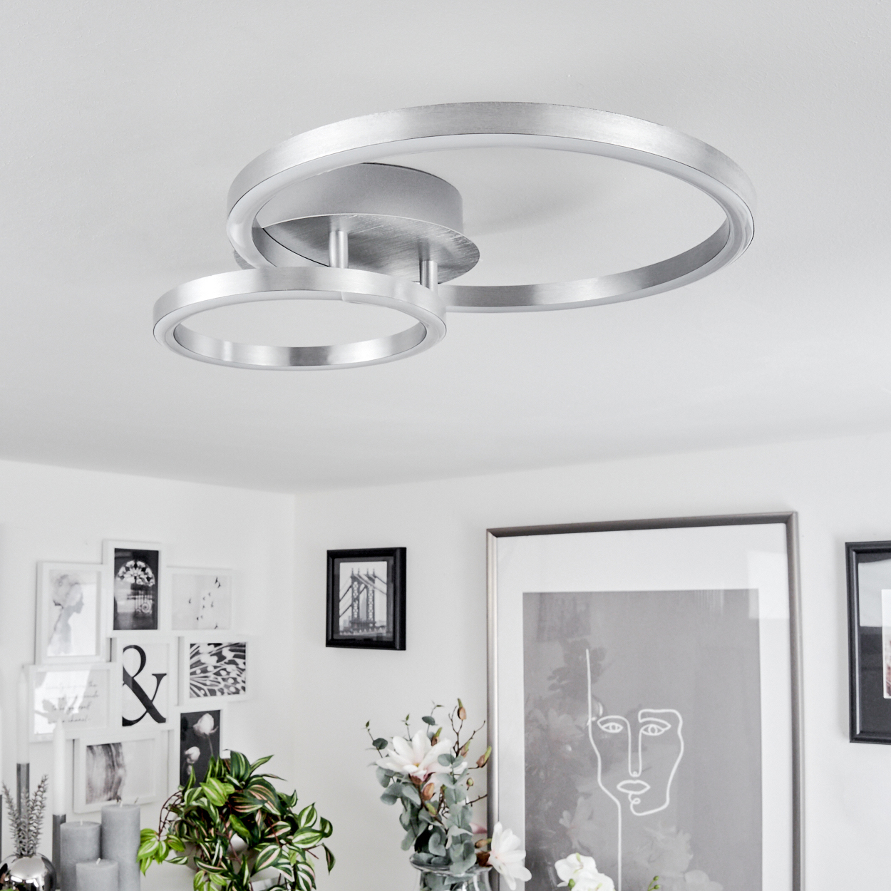 Silberne Deckenleuchte mit zwei sich kreuzenden Ringen. Weiße Wand mit gerahmten Bildern und Pflanzen davor.