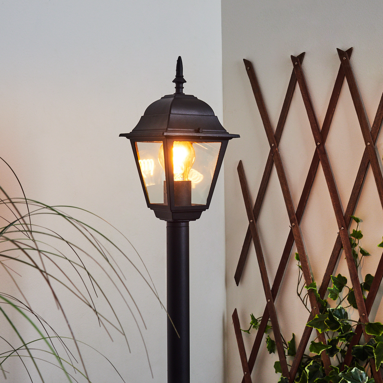 Schwarze Außenlampe mit leuchtender Glühbirne. Braunes Spalier mit grünen Weinreben im Hintergrund. Hohes Gras auf der linken Seite. Weiße Wand.