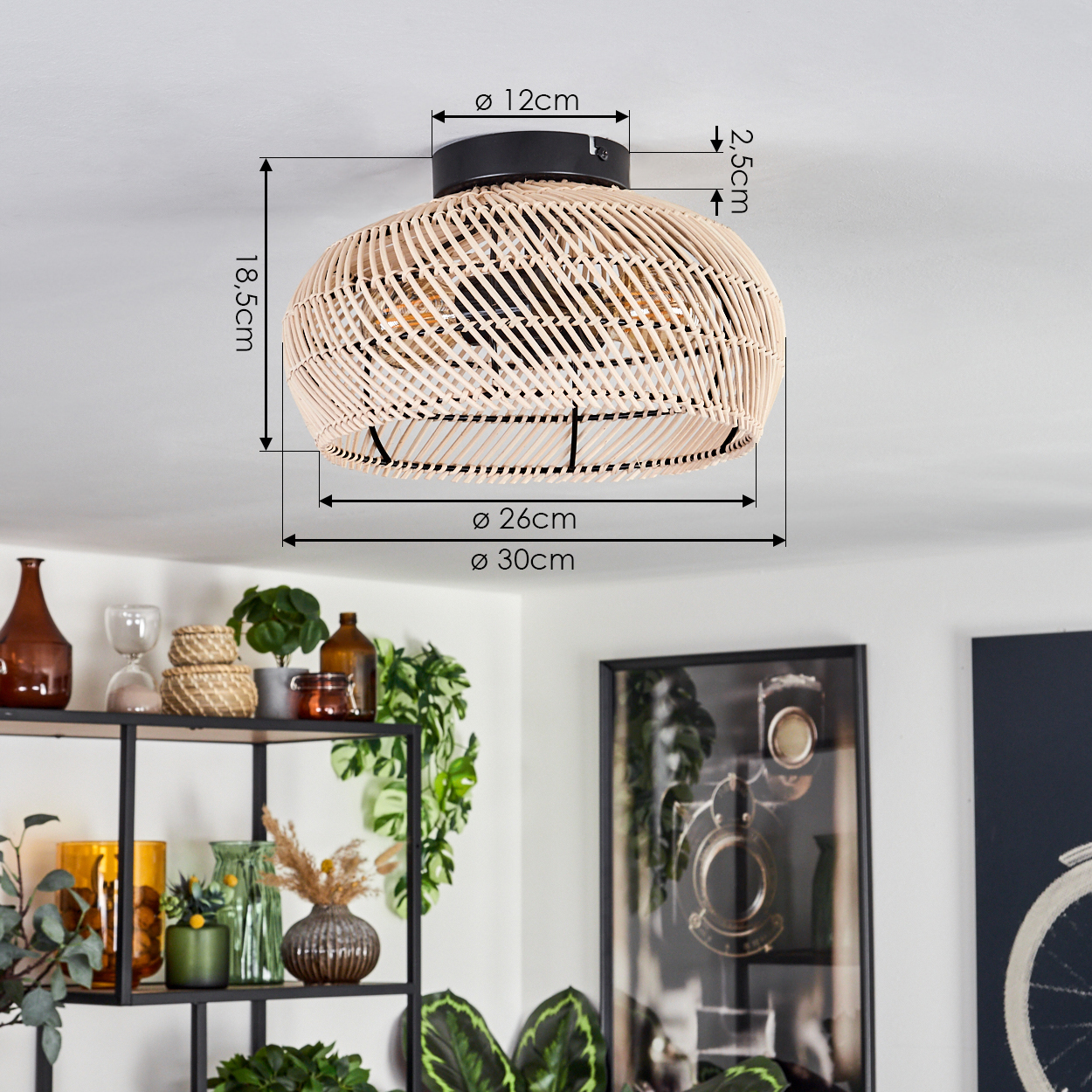 Eine Deckenlampe aus gewebtem Rattan mit angegebenen Abmessungen. Darunter ein Regal mit Deko und Pflanzen; Bilder an der Wand.