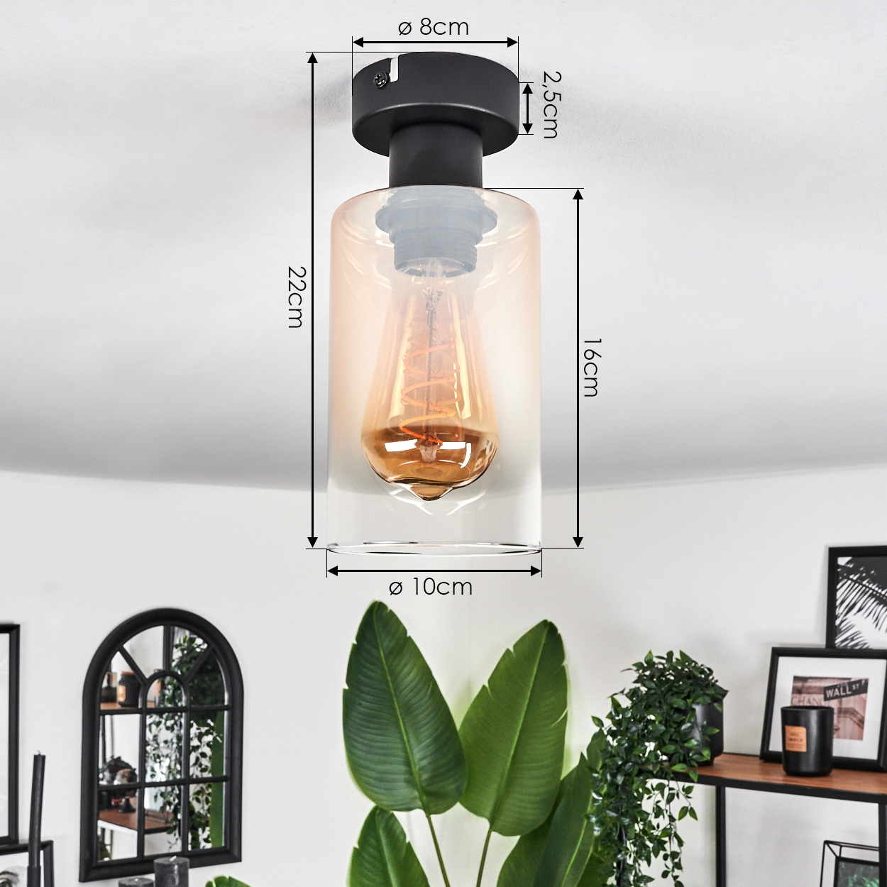 Eine schwarze Deckenlampe mit Glasschirm und warmer Glühbirne hängt in einem Raum mit Pflanzen.