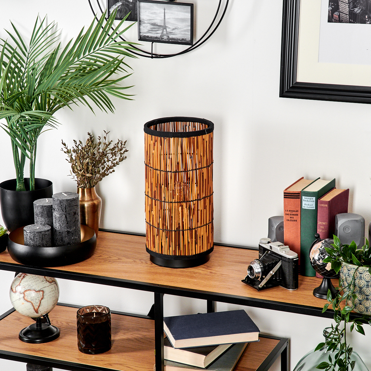 Ein Regal mit Bambuslampe, Büchern, Globus, Kamera und Pflanzen. Im Hintergrund gerahmte Bilder und eine weiße Wand.