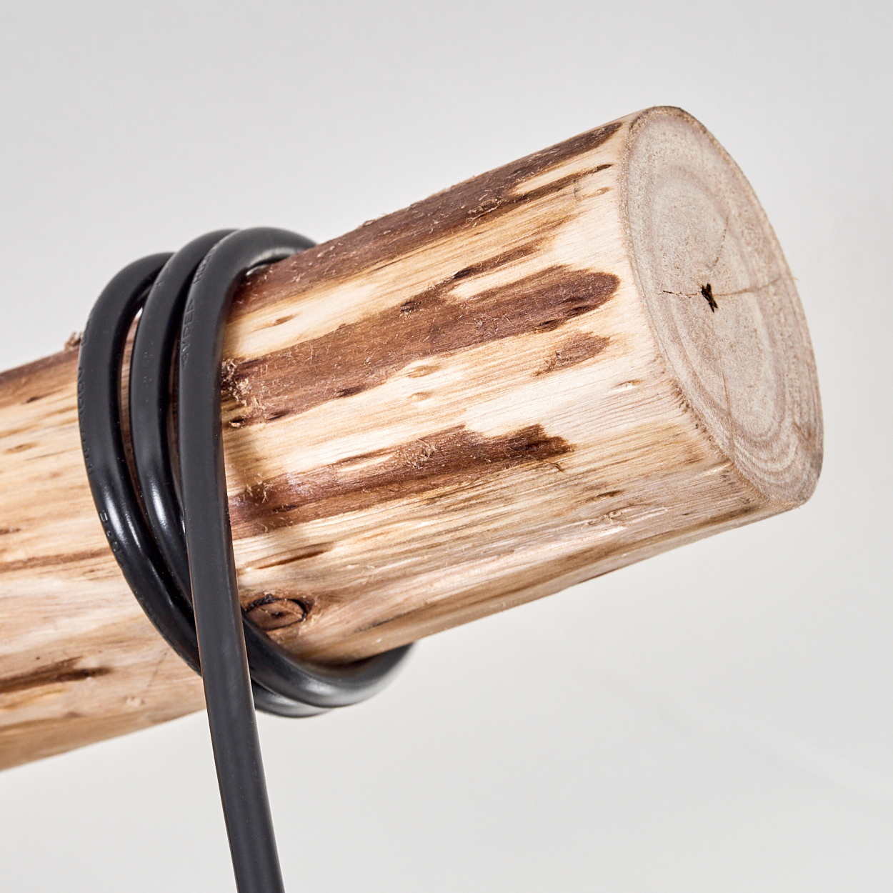 Nahaufnahme eines Holzstamms mit einem schwarzen, gewickelten Draht. Der Hintergrund ist weiß.