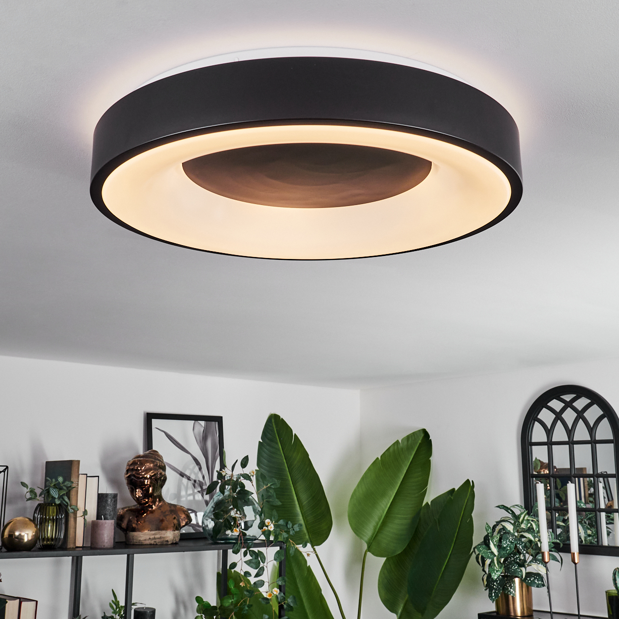 Eine moderne Deckenleuchte mit schwarzem Außenring und warmweißem Innenlicht. Darunter ein Raum mit Pflanzen, Regalen und einer Büste.