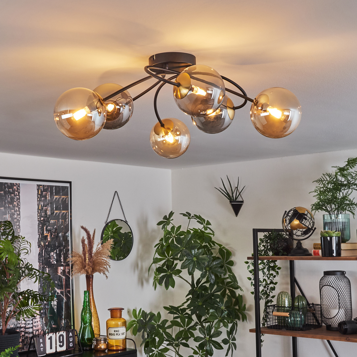 Eine moderne Deckenleuchte mit kugelförmigen Glasschirmen beleuchtet einen Raum mit Pflanzen, einem Regal und dekorativen Gegenständen.