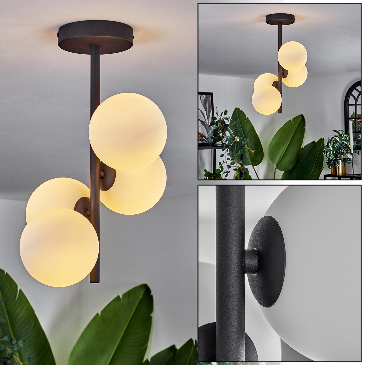 Eine moderne Deckenlampe mit vier kugelförmigen Glasschirmen. Die Lampe hat einen dunklen Metallrahmen und ist von grünen Pflanzen umgeben.