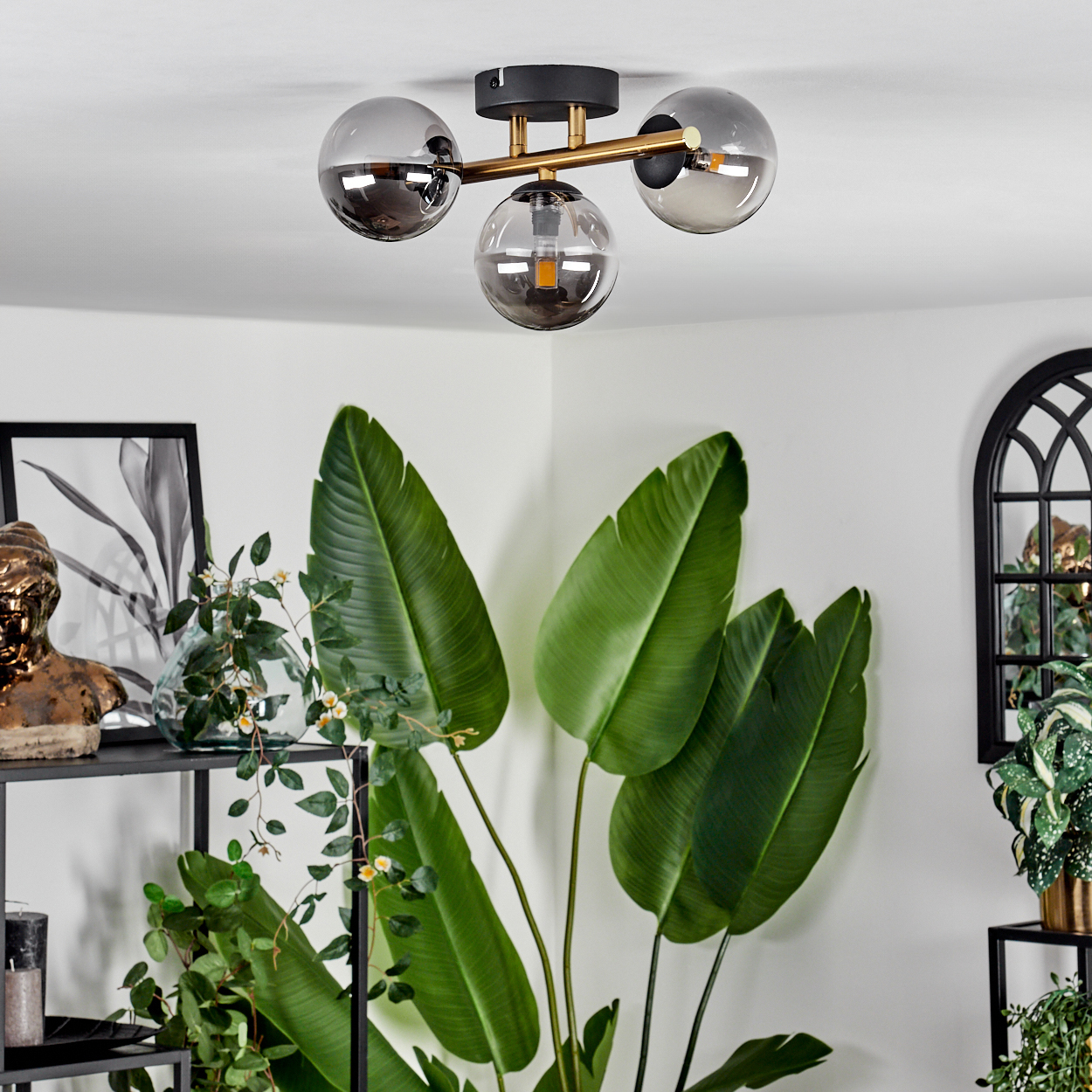 Eine moderne Deckenlampe mit drei grauen Glaskugeln. Große grüne Blätter einer Pflanze im Vordergrund, ein schwarzes Regal mit Pflanzen.