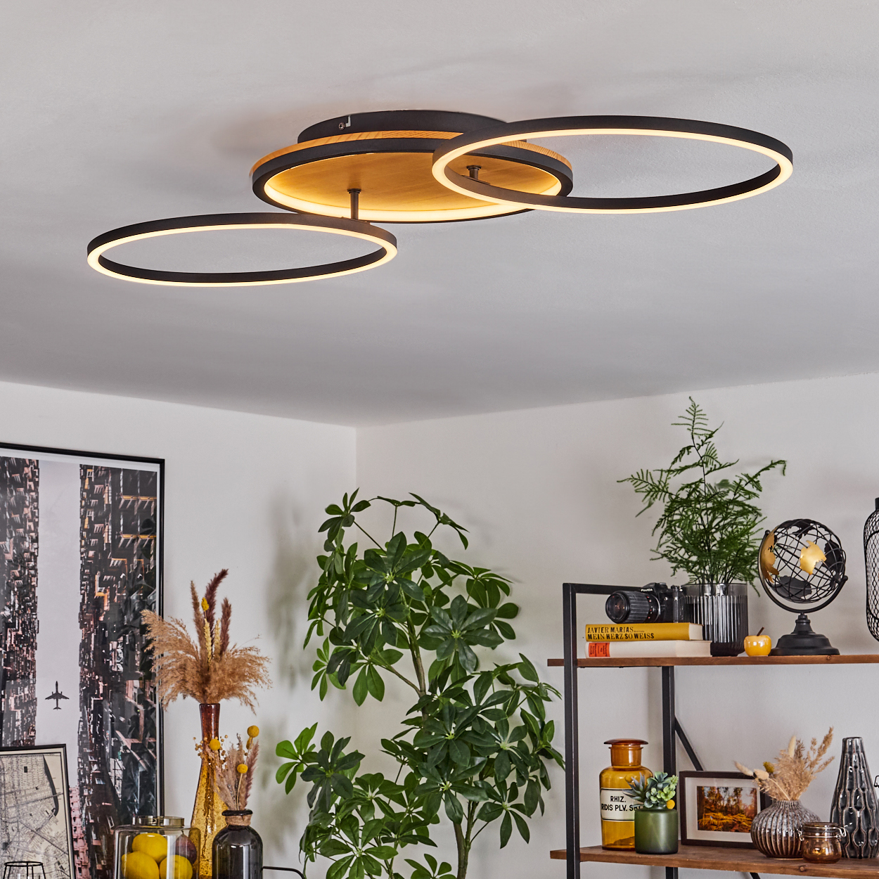 Eine moderne Deckenlampe mit drei beleuchteten Ringen. Darunter Pflanzen, Regale mit Deko und ein Bilderrahmen.
