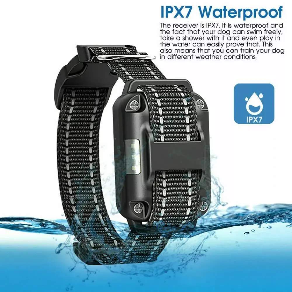 Schwarz-weißes Hundehalsband im Wasser. Es hat eine IPX7-Wasserdichtigkeit. Text besagt, dass es zum Trainieren von Hunden ist.