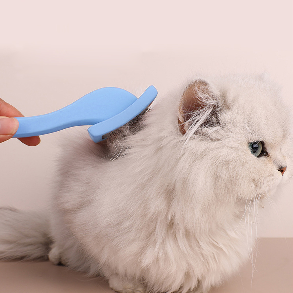 Eine Person pflegt eine flauschige weiße Katze mit einem blauen Kamm. Die Katze hat grüne Augen. Der Hintergrund ist hellbeige.
