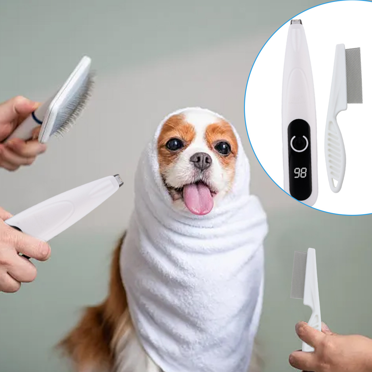 Ein Hund, eingewickelt in ein Handtuch, ist von Pflegeutensilien umgeben. Eine Bürste und zwei weiße Pflegeutensilien werden von Händen gehalten.