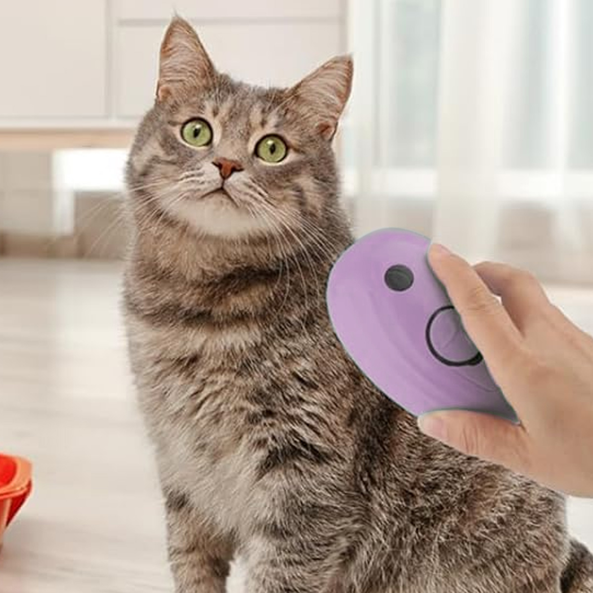 Eine graue getigerte Katze wird mit einer lilafarbenen Haustierbürste gebürstet. Die Katze schaut nach oben. Eine Hand hält die Bürste. Heller Raum.